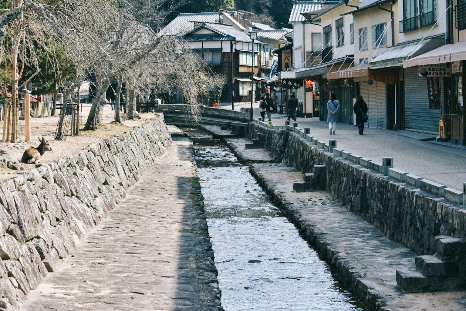 宁静的河边景观，传统建筑和石头小道