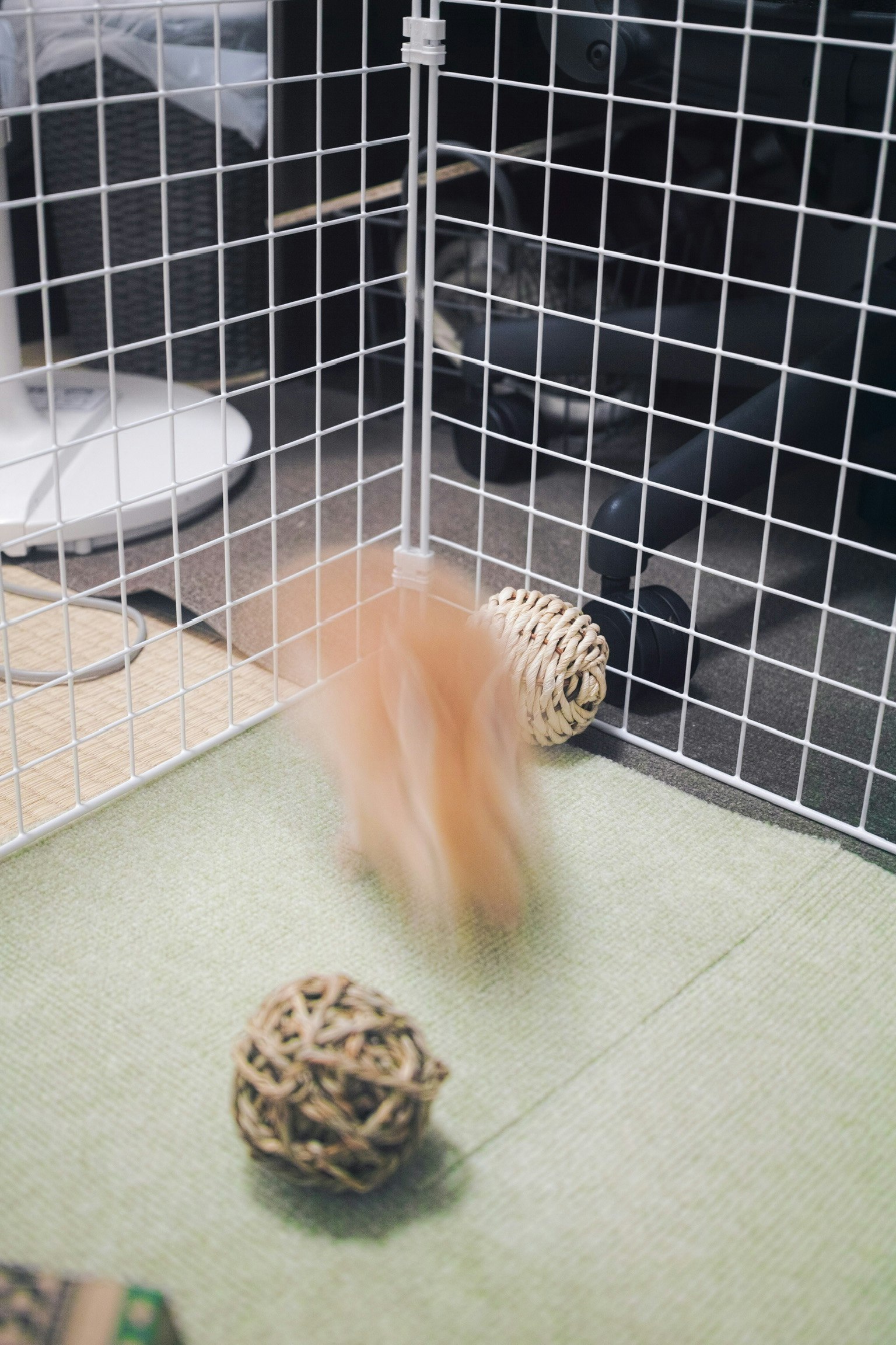 Un pequeño animal jugando dentro de una jaula con bolas tejidas