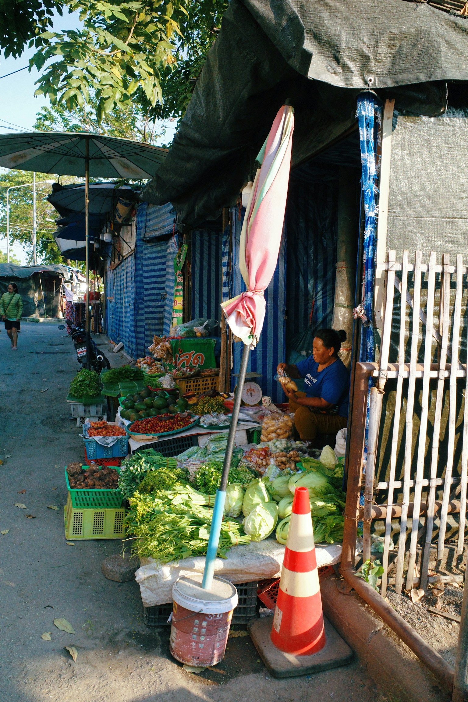 Puesto de verduras que exhibe verduras frescas y frutas con una persona sentada cerca