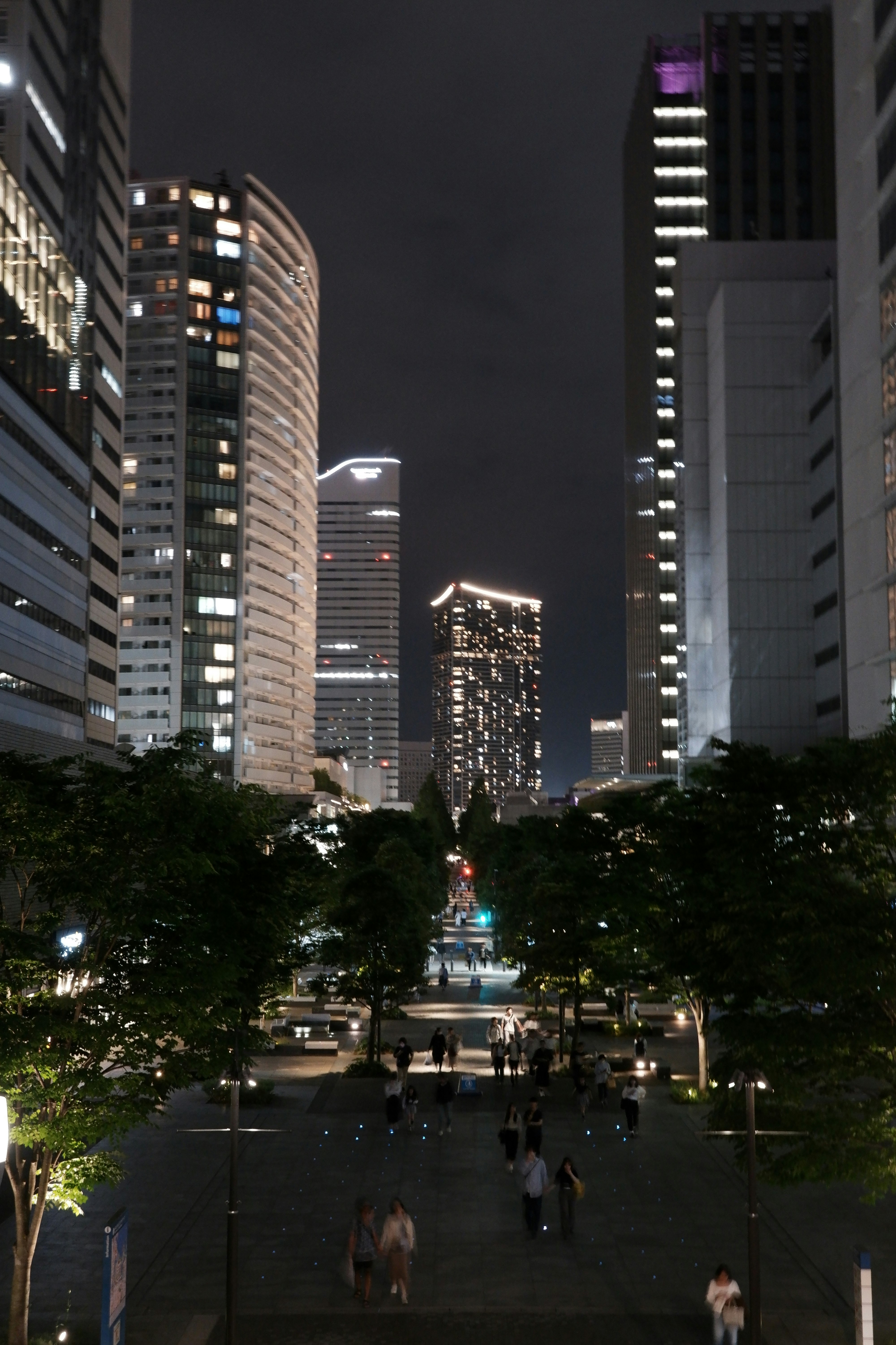 夜の高層ビルに囲まれた大通りの街並み
