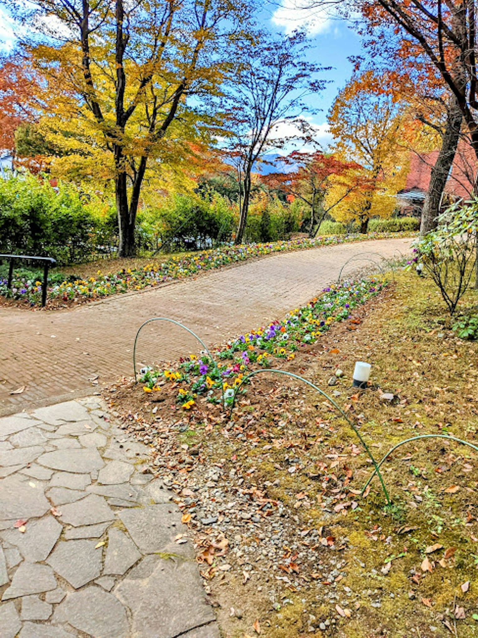 Malerischer Weg umgeben von lebhaftem Herbstlaub und blühenden Blumen