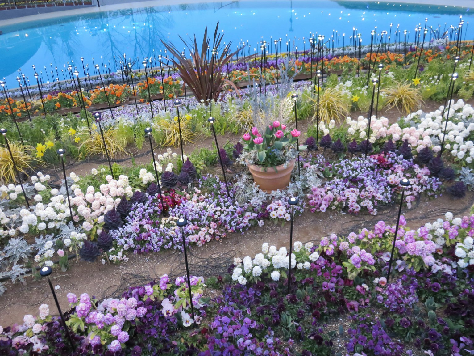 Eine schöne Gartenszene mit bunten Blumen neben einem blauen Pool