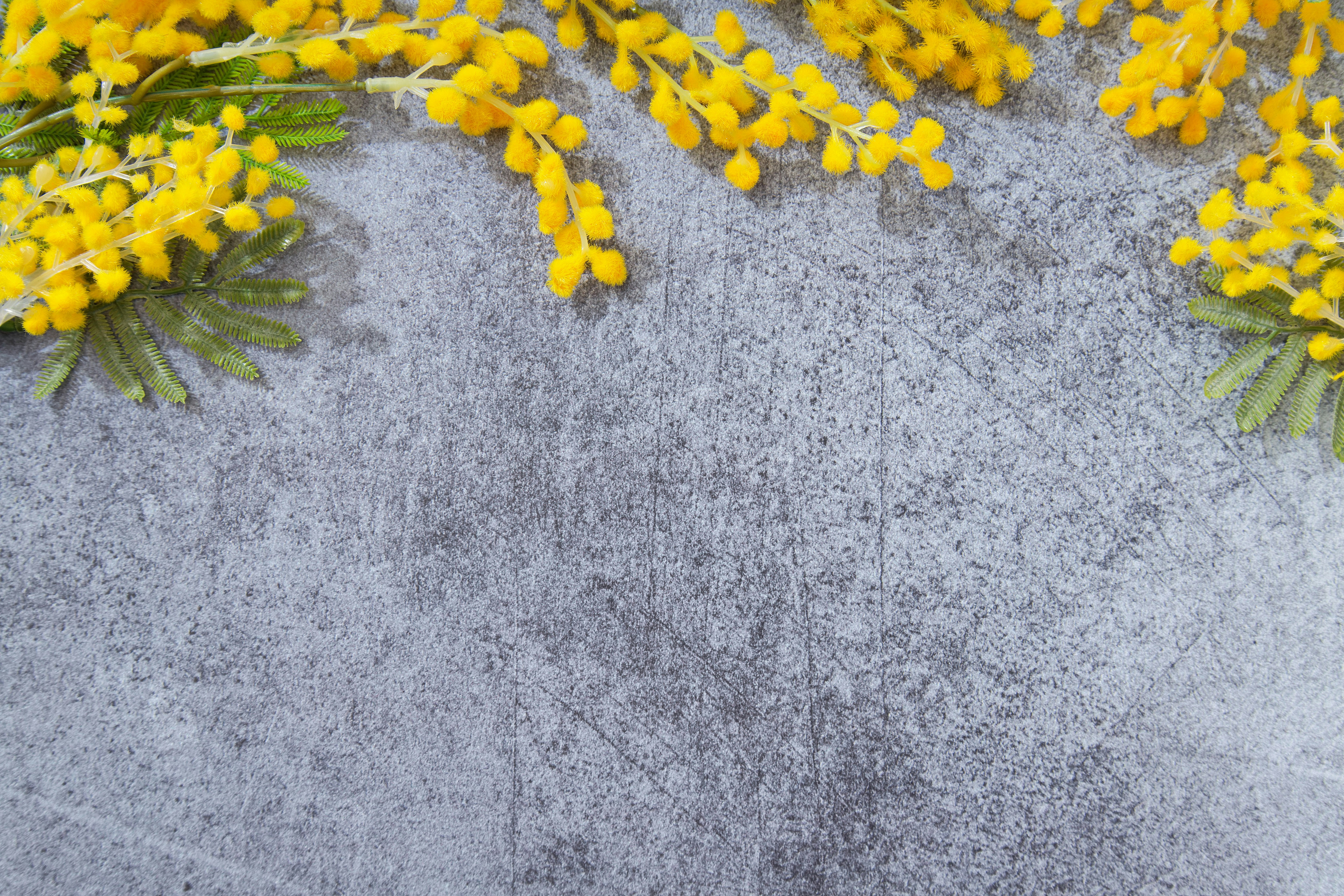 ミモザの花とボタニカルフレームの背景
