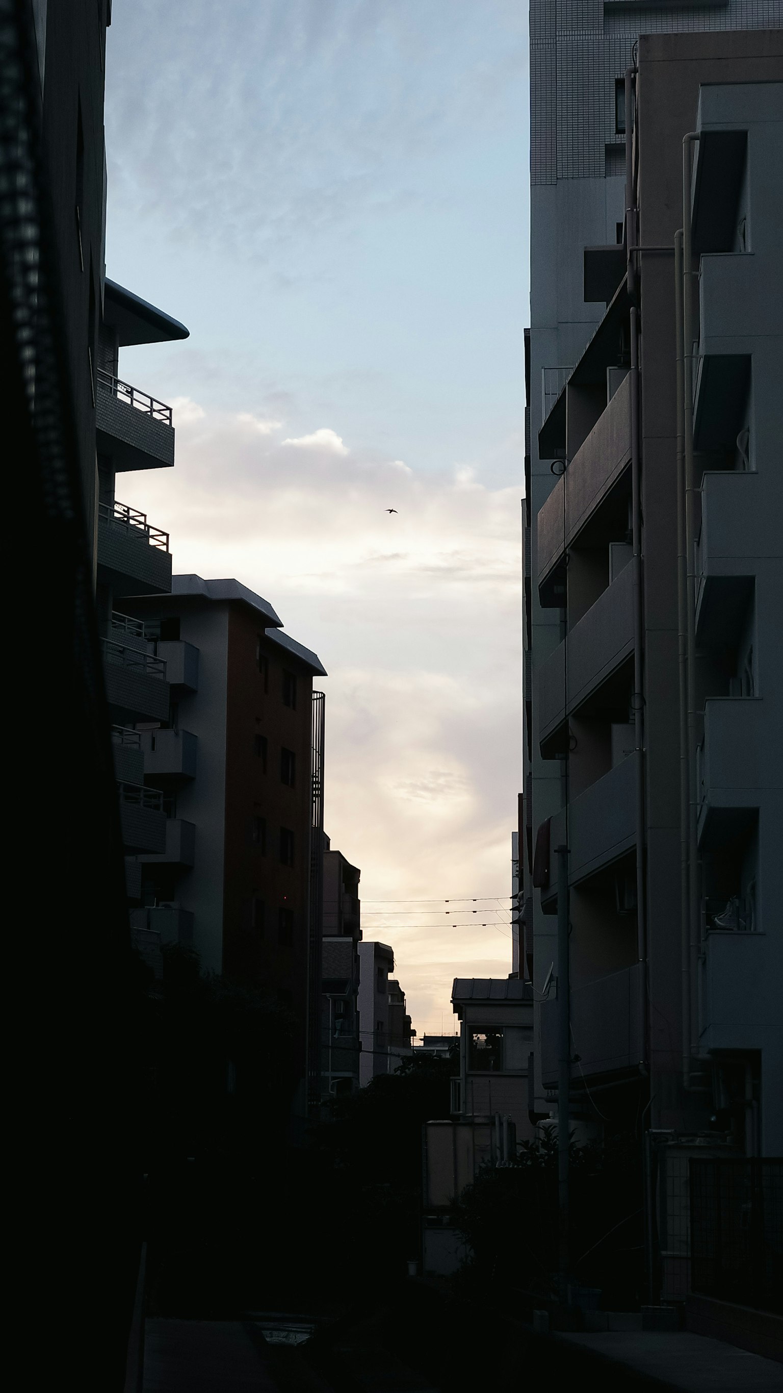 高楼之间的傍晚天空