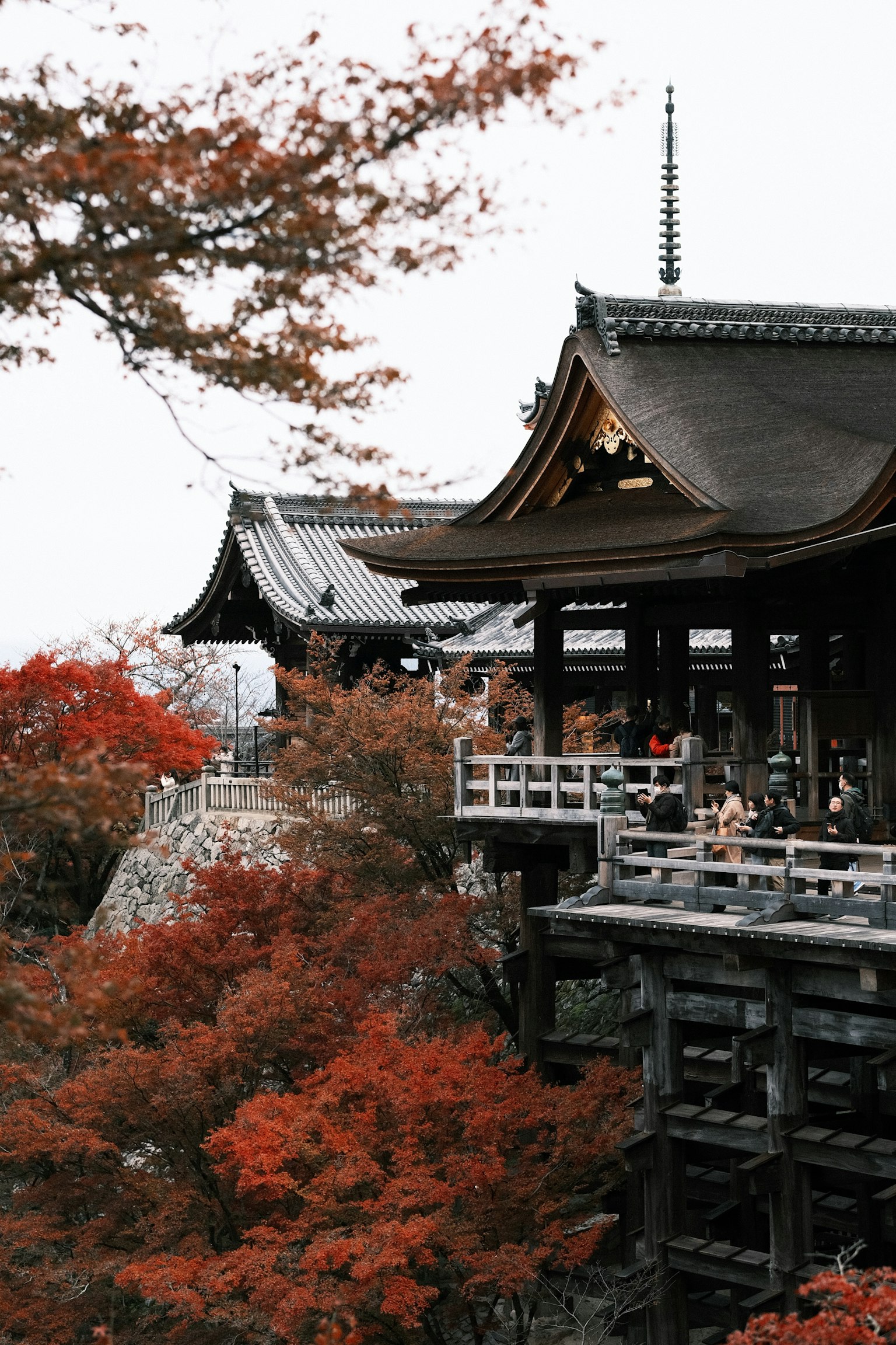被鲜艳秋叶环绕的清水寺