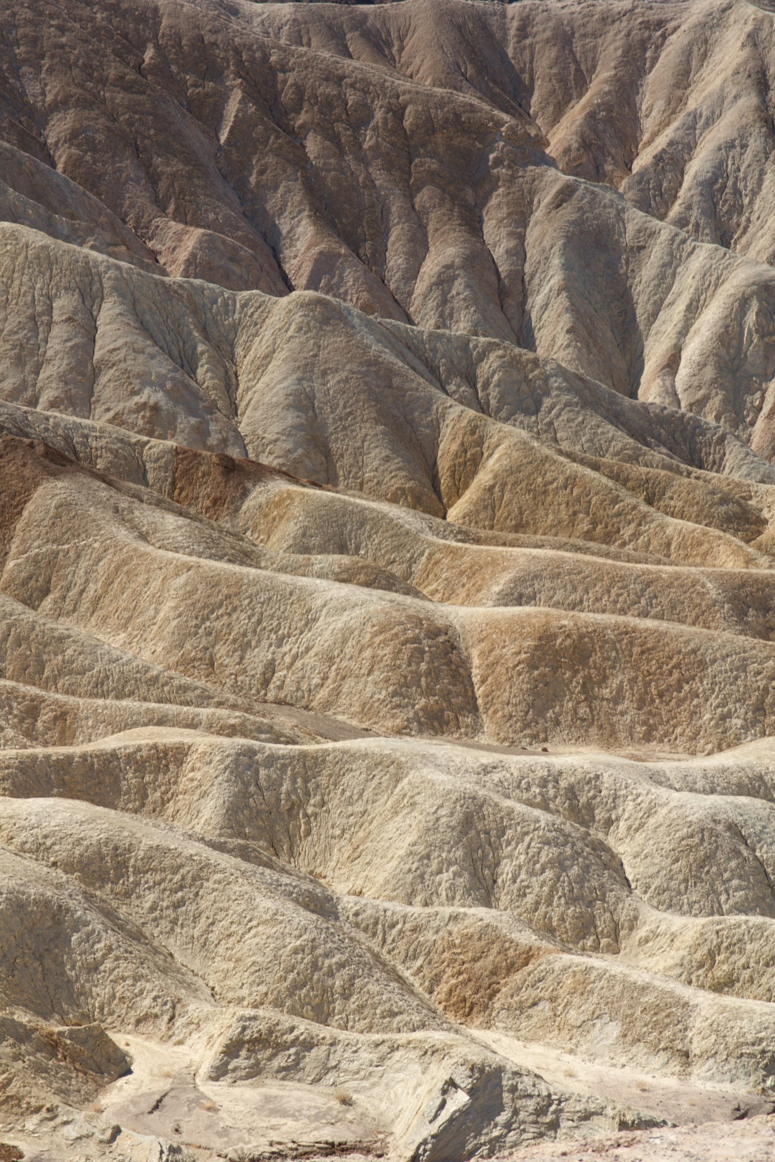 Paesaggio che mostra strati di terreno secco