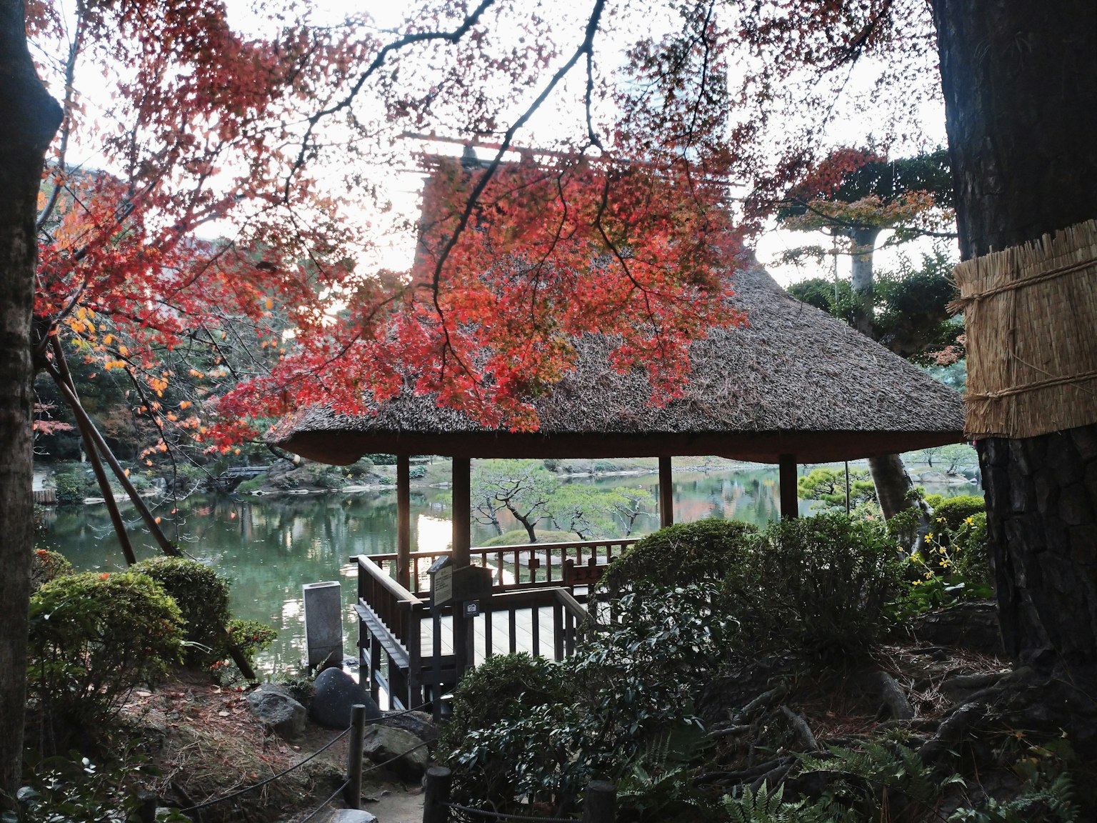 靠近池塘的茅草屋亭子，周围环绕着秋季树叶