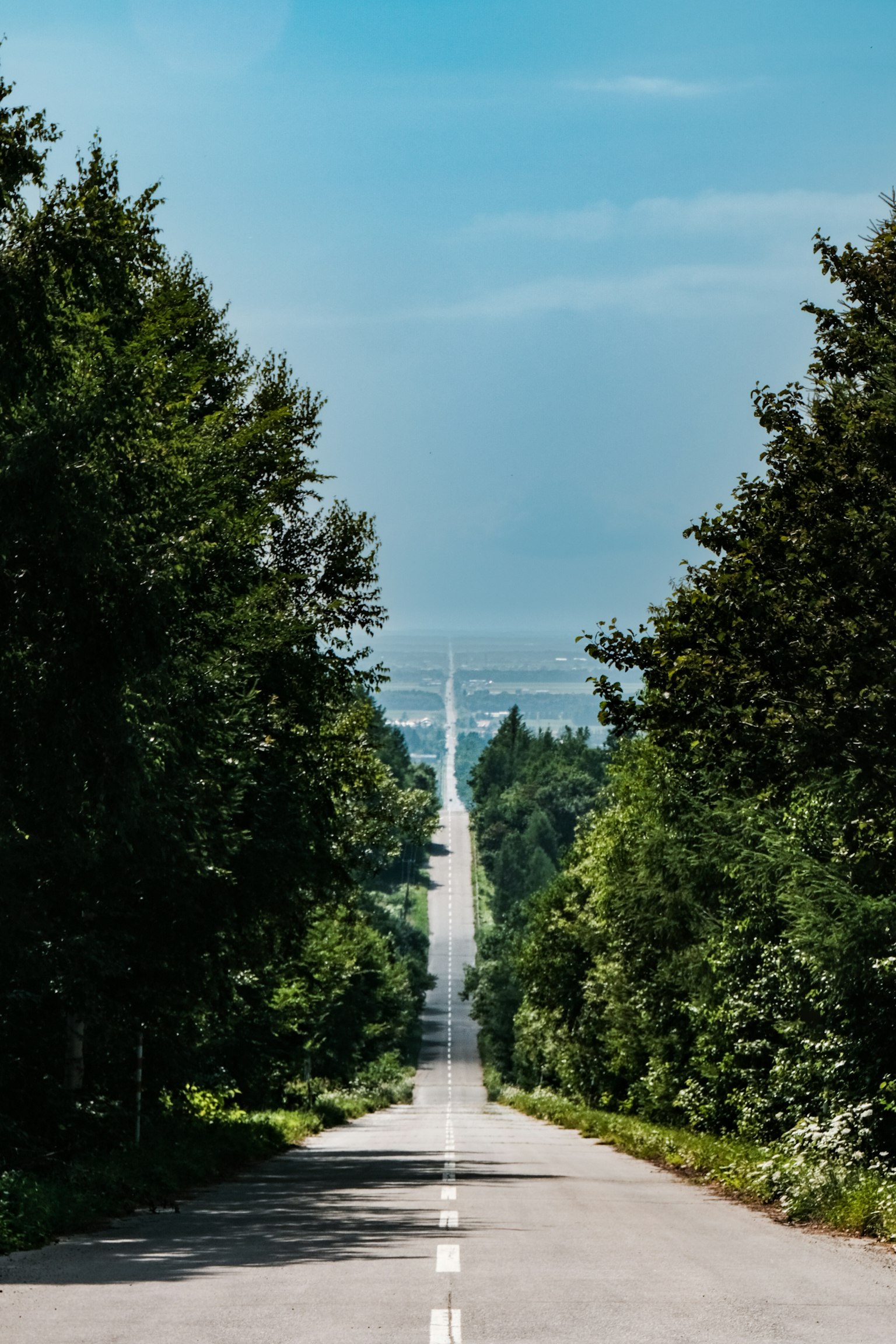 Lunga strada circondata da vegetazione che porta lontano