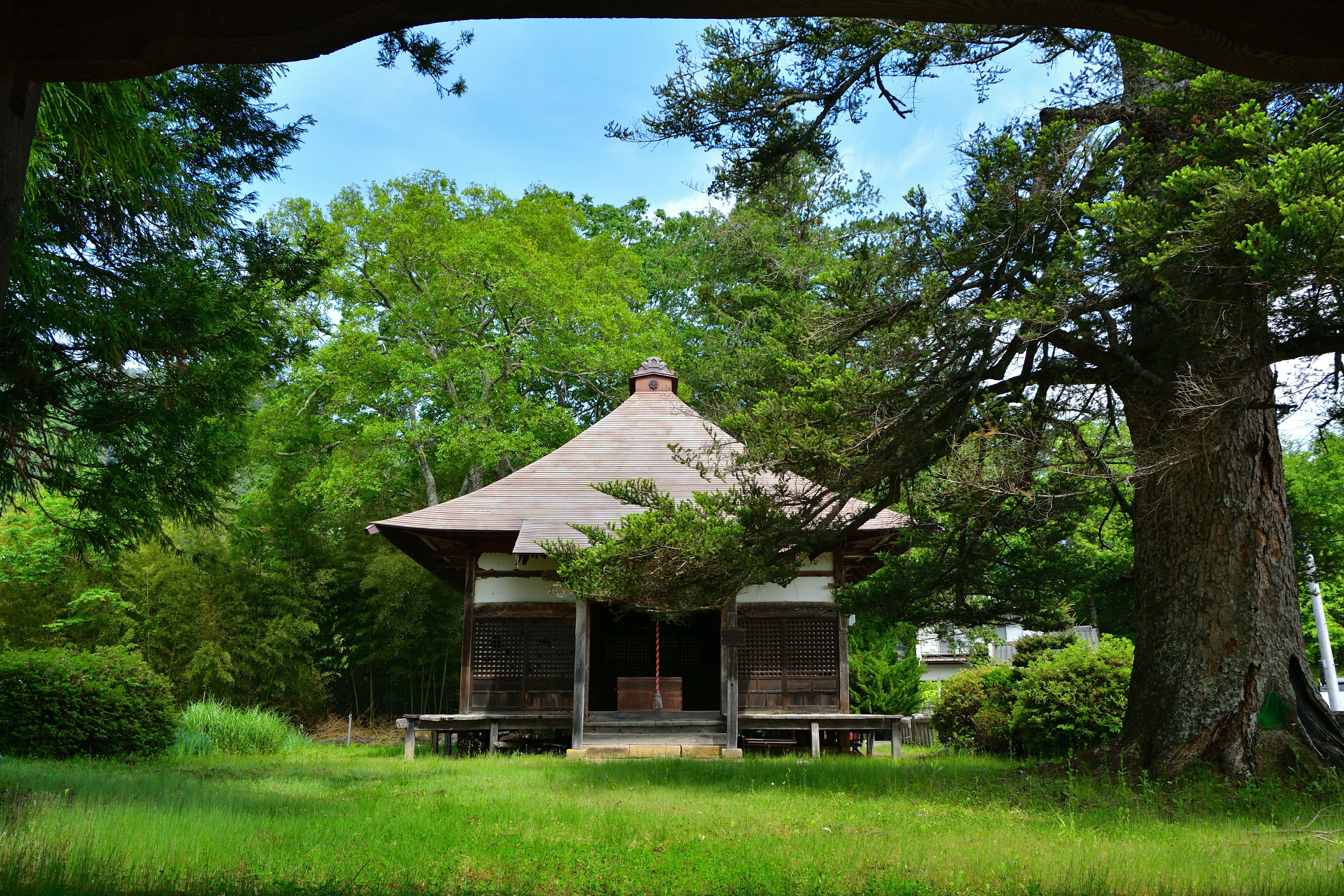 緑の芝生と大きな木々に囲まれた伝統的な小屋の外観