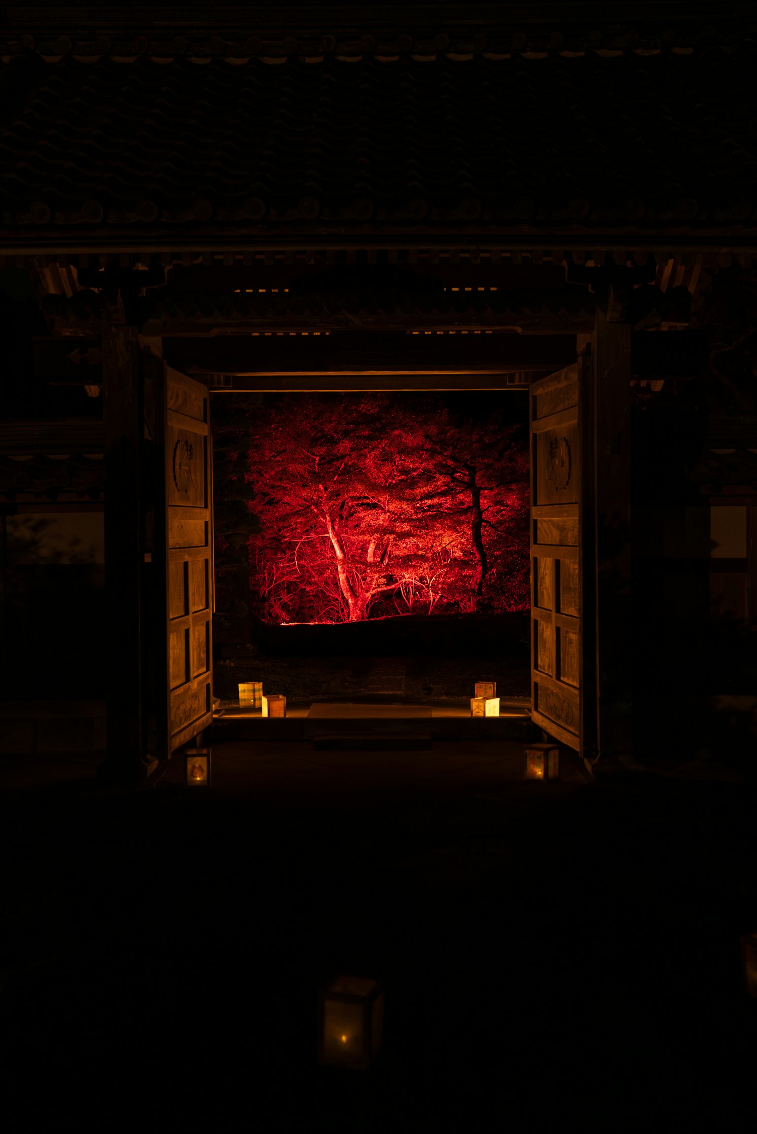 Puerta abierta que revela un fondo de árboles iluminados en rojo