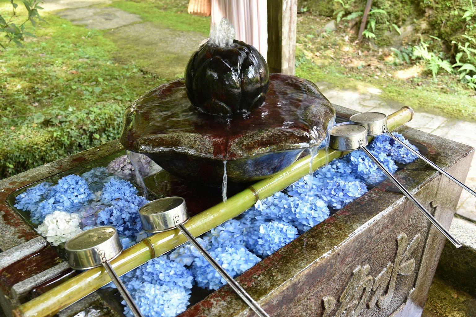 Bassin d'eau de jardin japonais avec des fleurs bleues et des cuillères en bambou