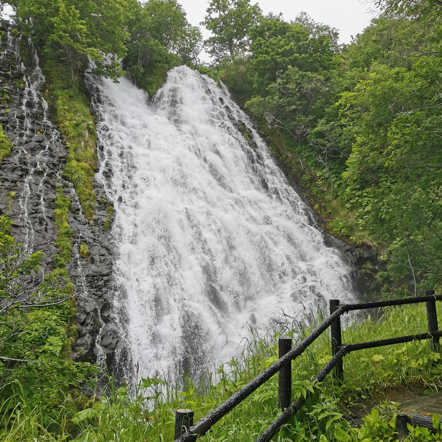 Imagen de una cascada rodeada de vegetación exuberante con agua fluyendo