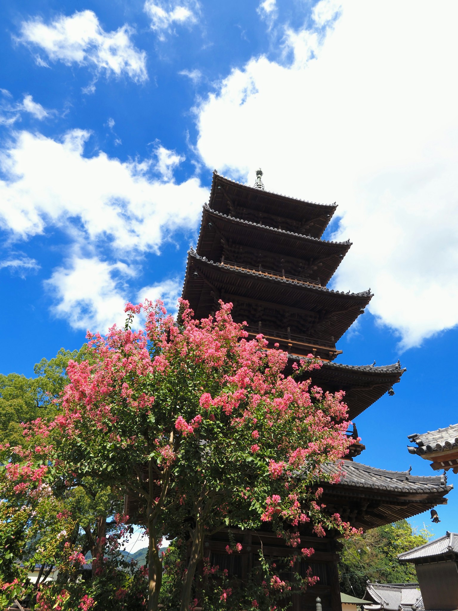 Five-story pagoda towering under a blue sky with blooming pink flowers