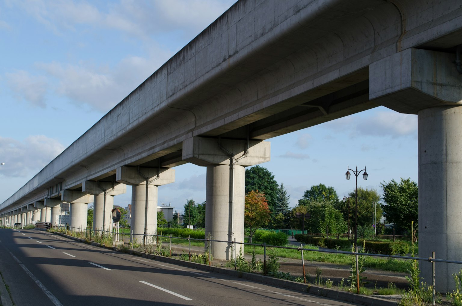 Estructura de carretera elevada de concreto con pilares de soporte y vegetación