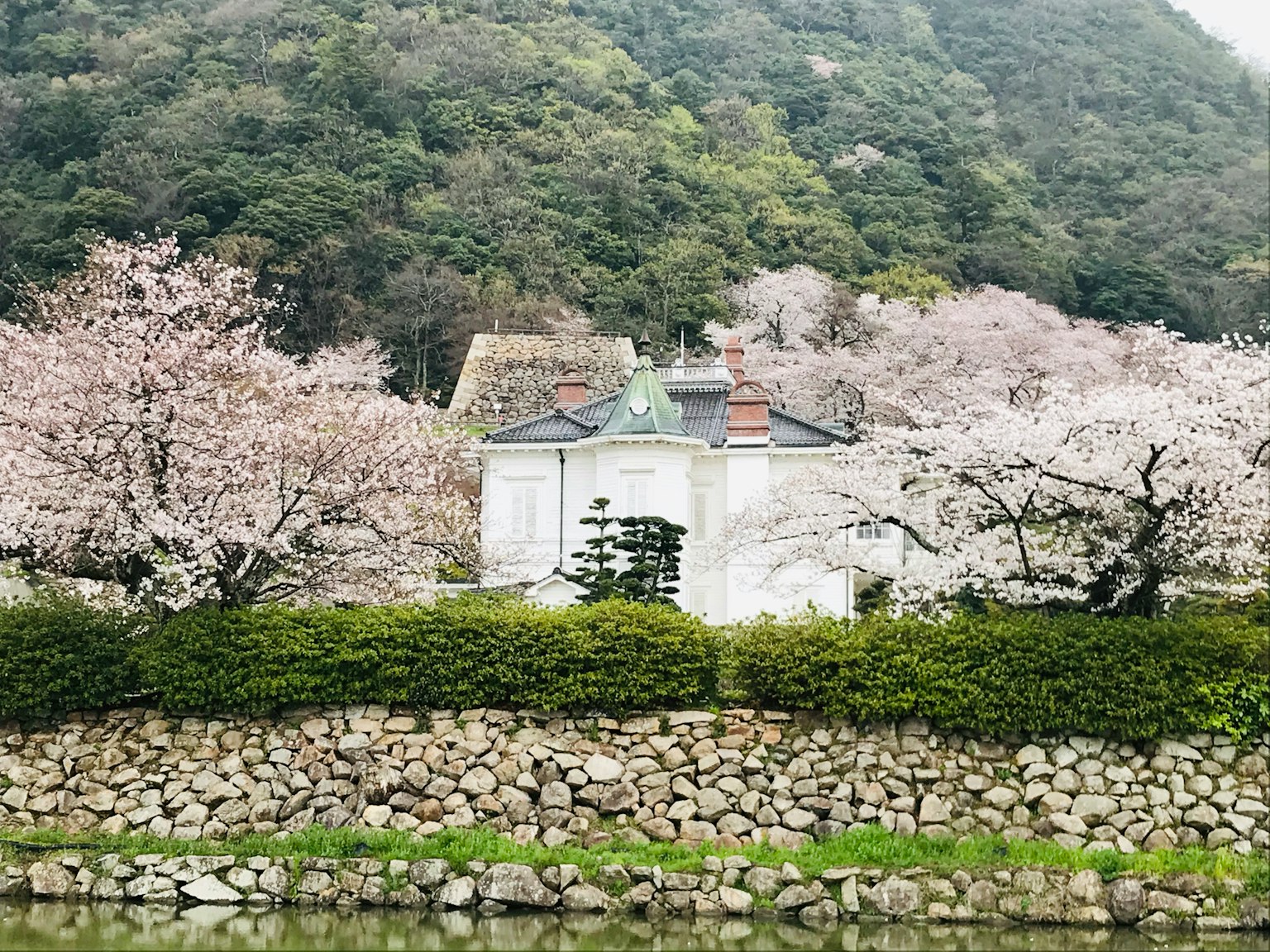 Une maison blanche entourée d'arbres en fleurs et de murs en pierre