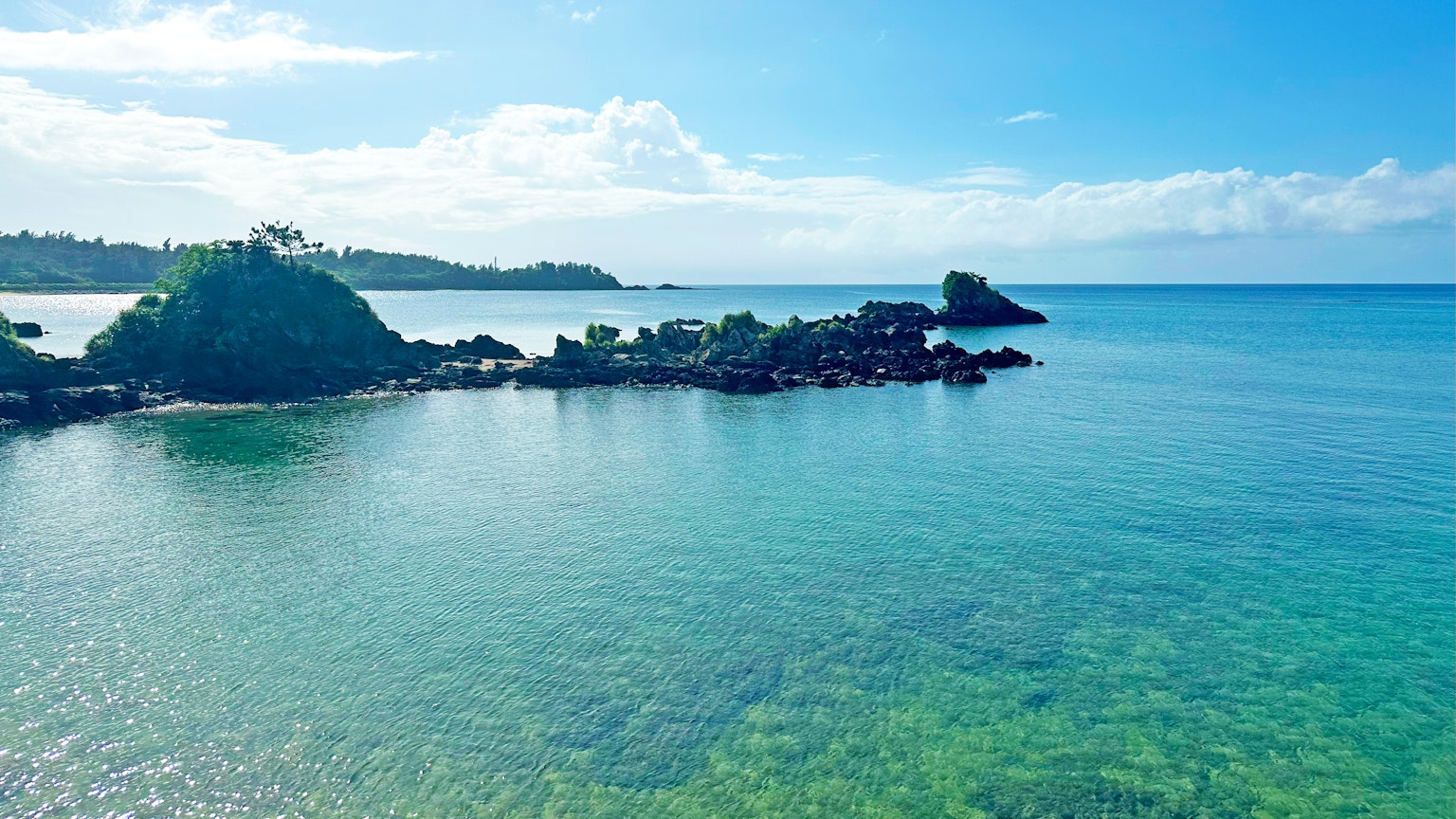 Pemandangan laut biru dan langit dengan batu dan rumput laut hijau terlihat