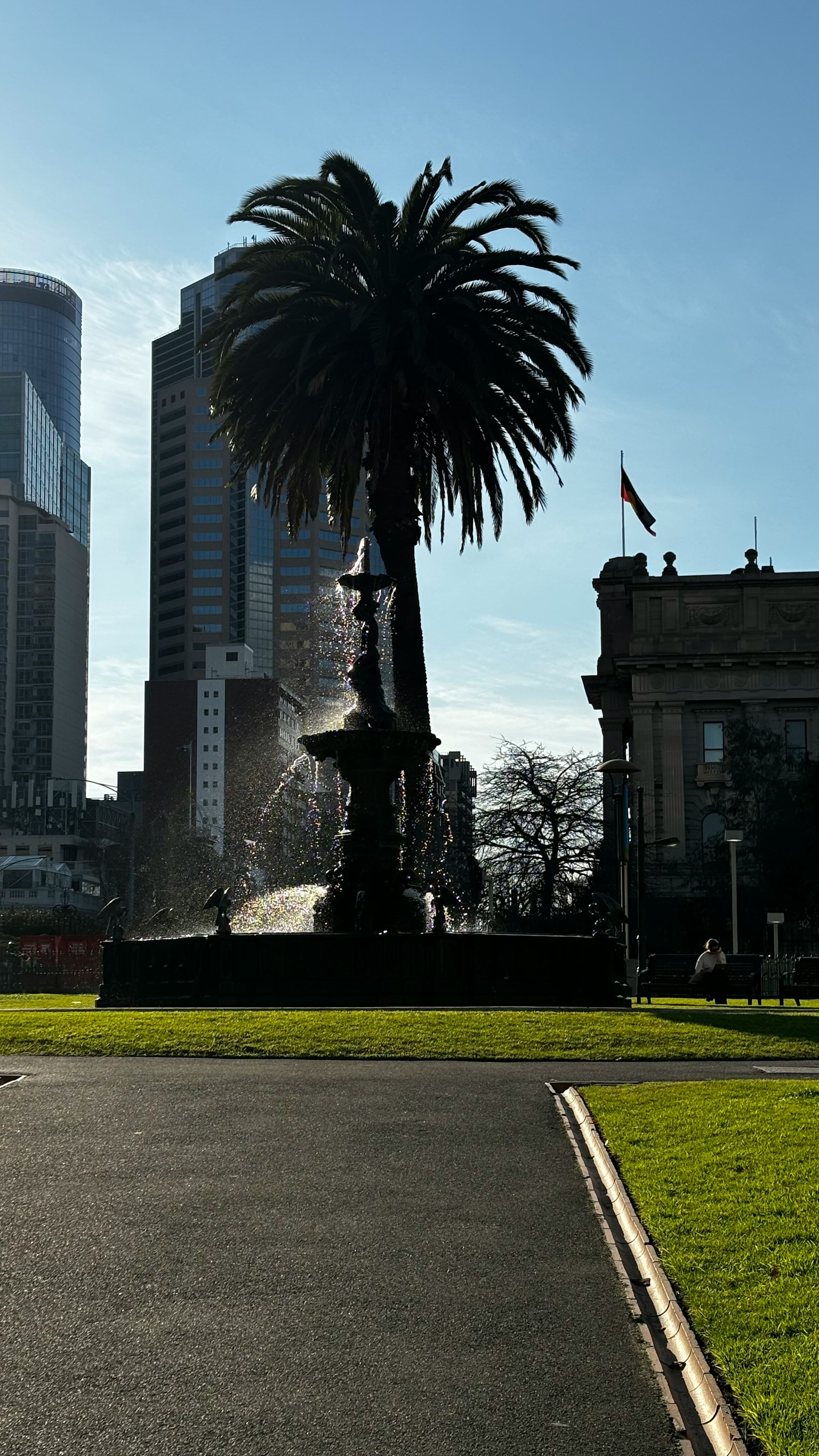 公園景觀，背景有高聳的棕櫚樹和噴泉與摩天大樓