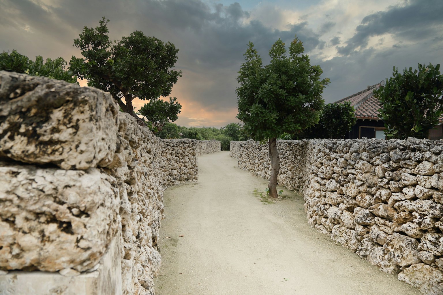 Sentiero panoramico fiancheggiato da muri di pietra e alberi