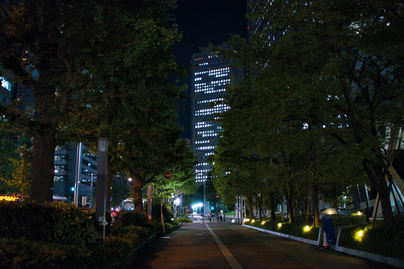 夜晚的城市街道,树木和高楼大厦