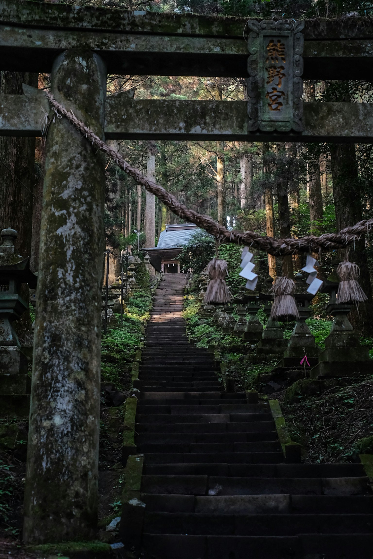 Waldszene mit einem alten Torii und moosbedeckten Stufen