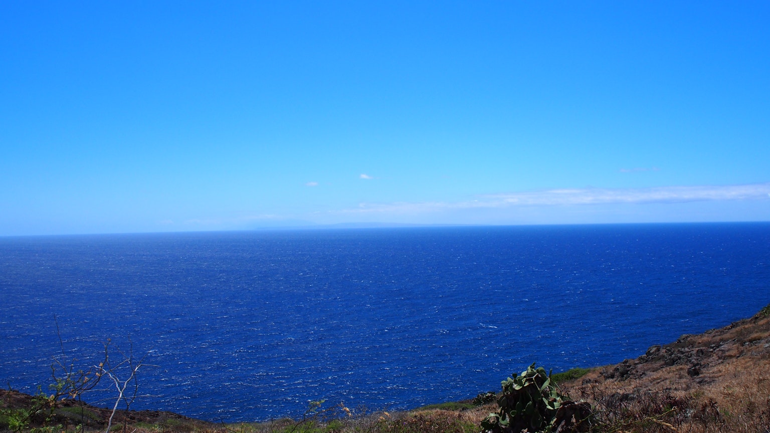 廣闊的藍天和海洋景觀，柔和的波浪和綠色土地
