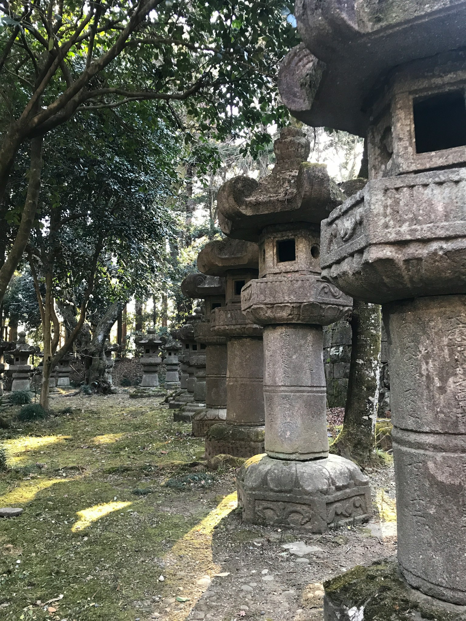 Une vue de lanternes en pierre anciennes alignées dans un jardin luxuriant