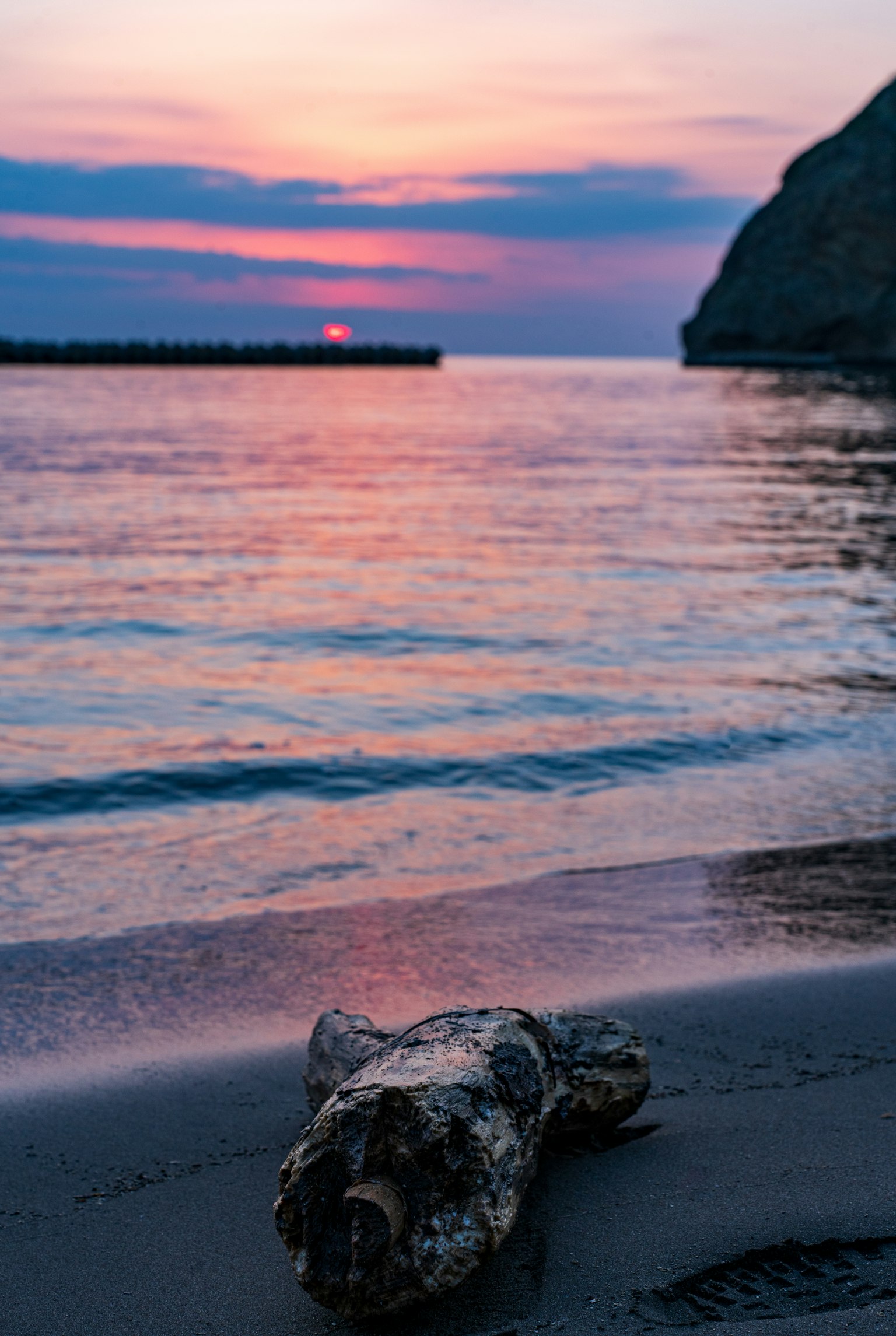 海滩上的漂流木在日落时分，波浪平静，天空色彩斑斓