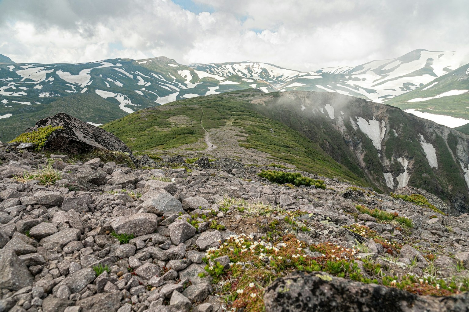 Paysage montagneux avec des sommets enneigés et une verdure luxuriante