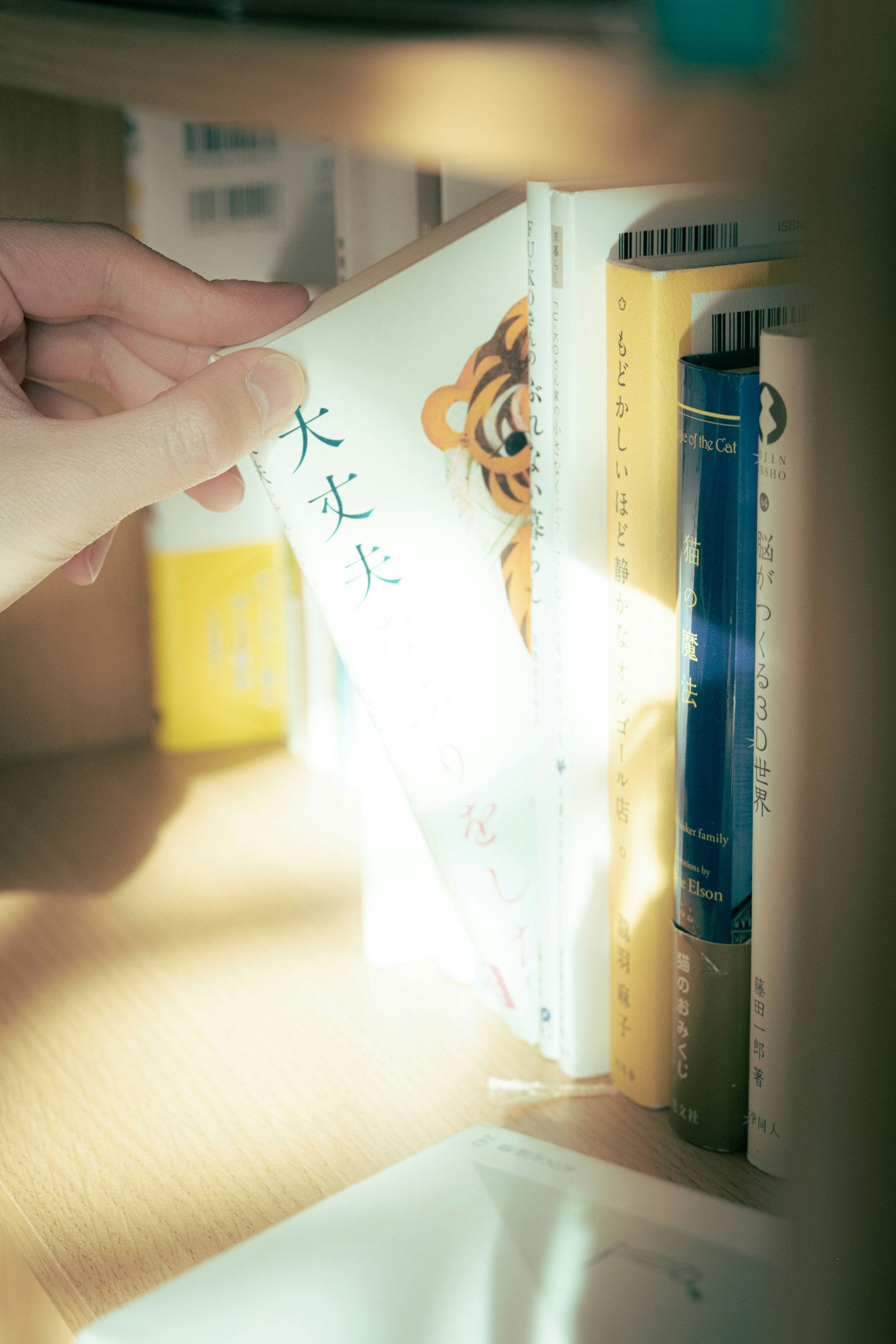 一只手从书架上拉出一本封面有老虎插图的书