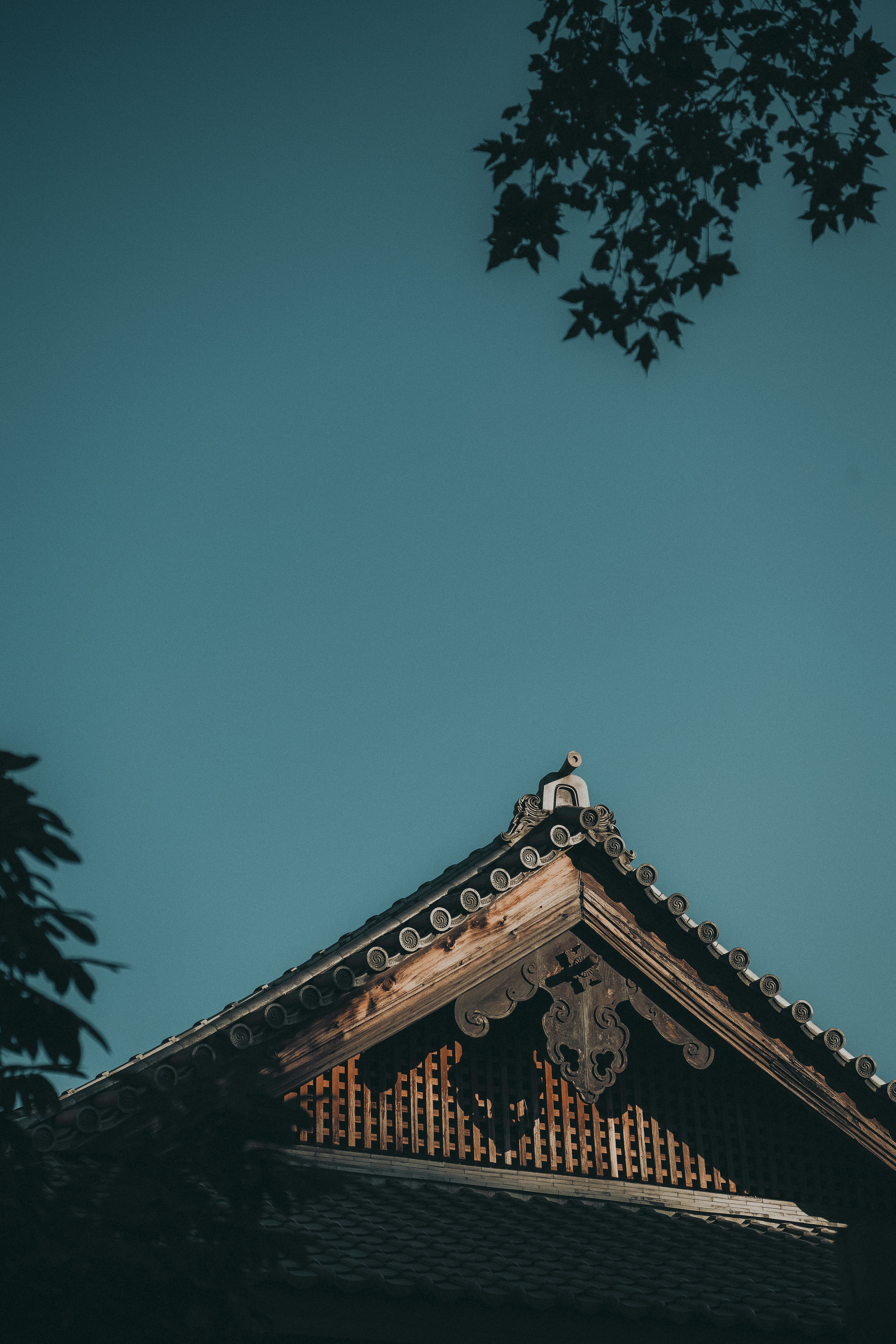 photo-nwjmWsYDB9AGiXCIhMs1-image