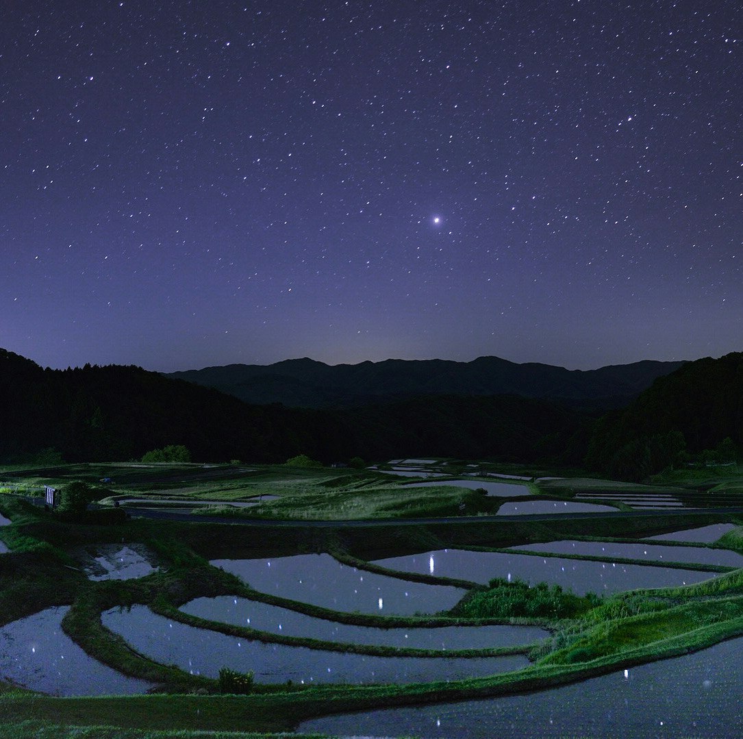 星空下的水田夜景