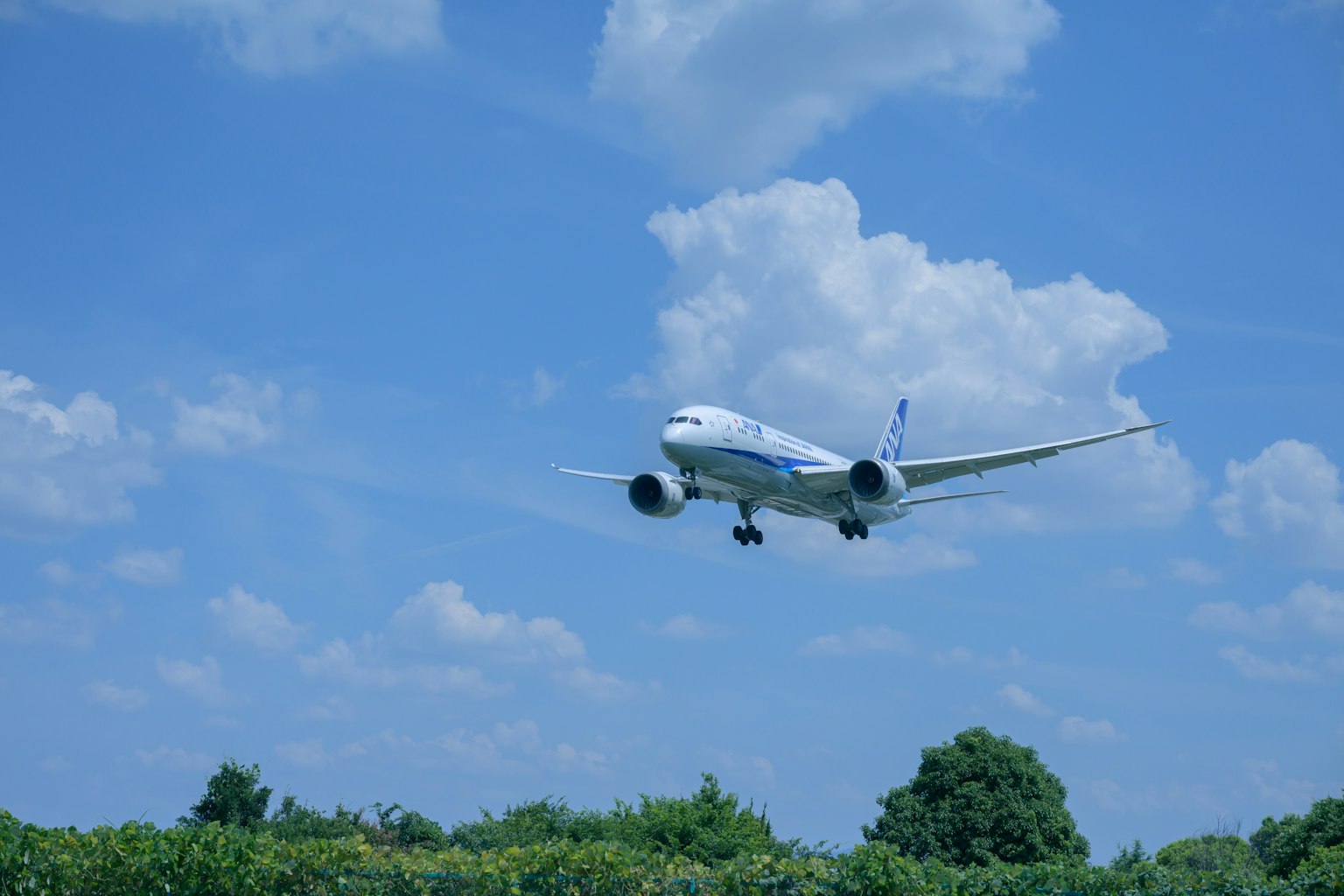 Avion volant sous un ciel bleu avec des nuages blancs duveteux