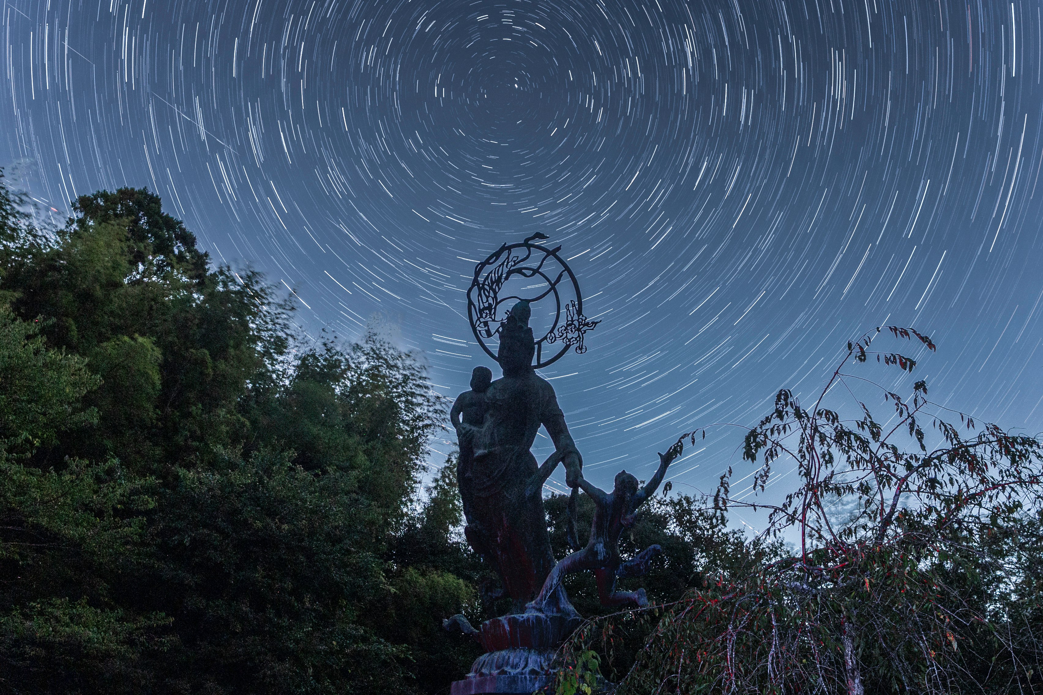 星空の下で草むらに佇む彫像と木々