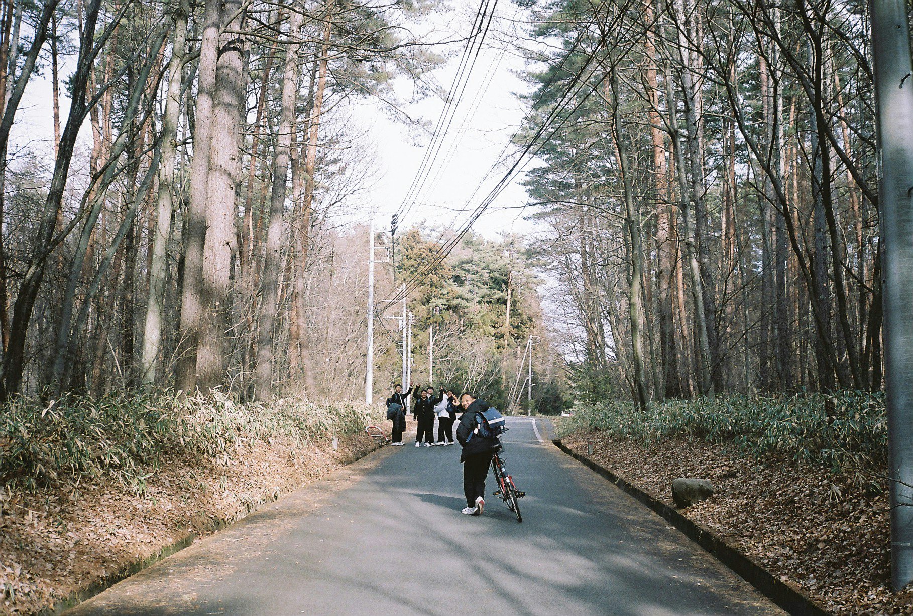 森の遊歩道を歩く人々
