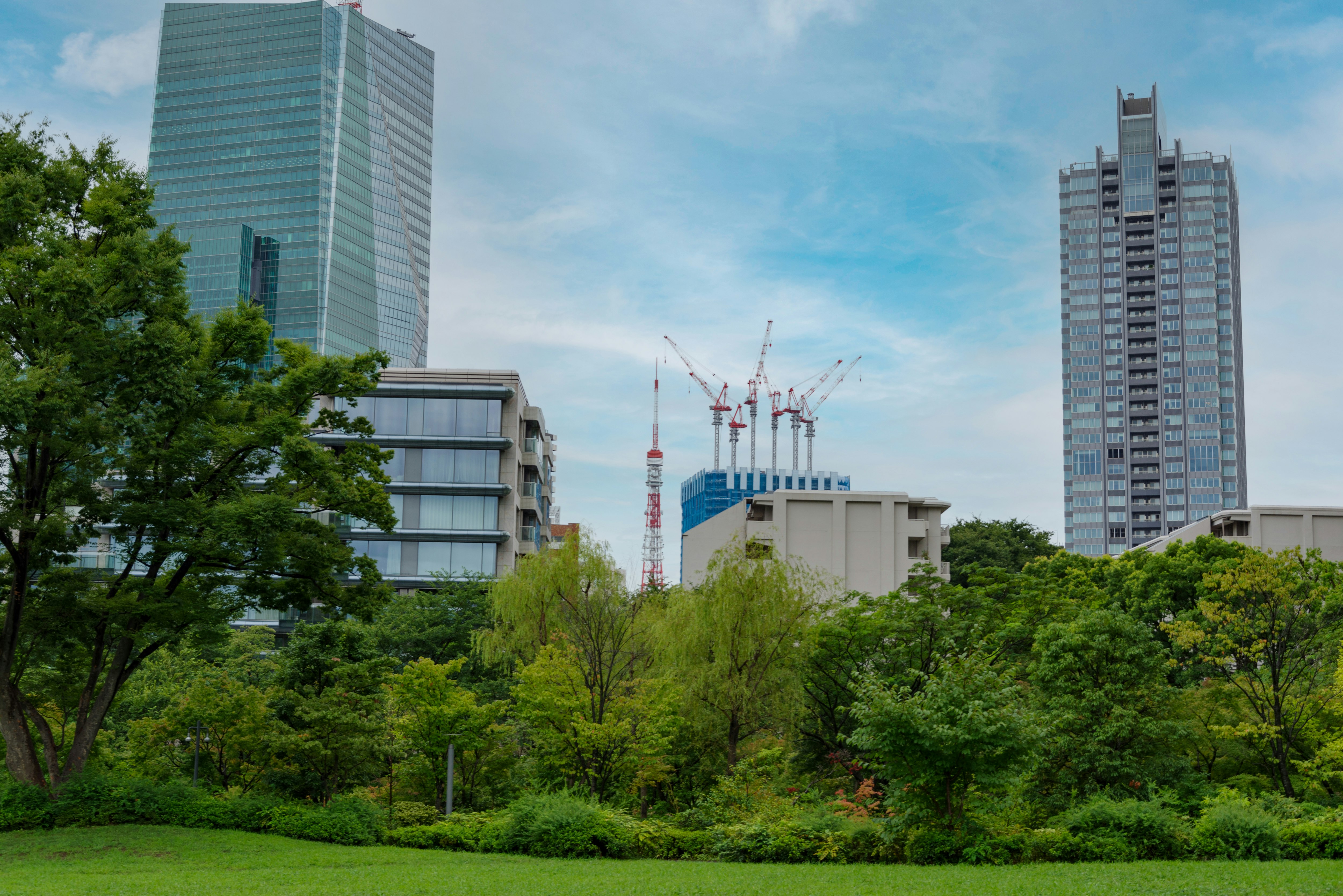 Urban skyline with a green park and high-rise buildings plus construction cranes