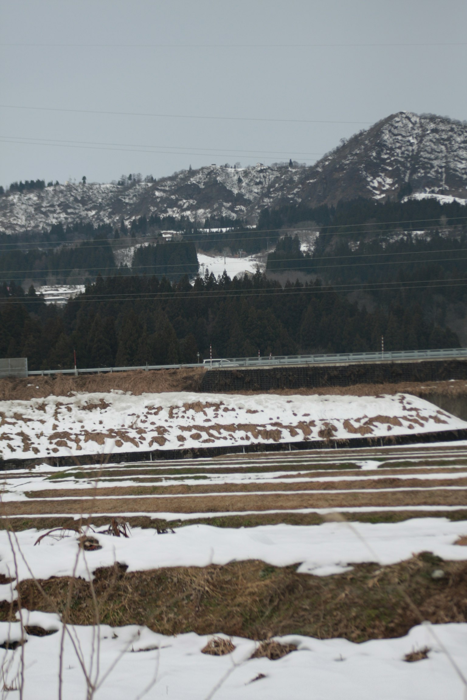 Champs de riz enneigés avec des montagnes en arrière-plan