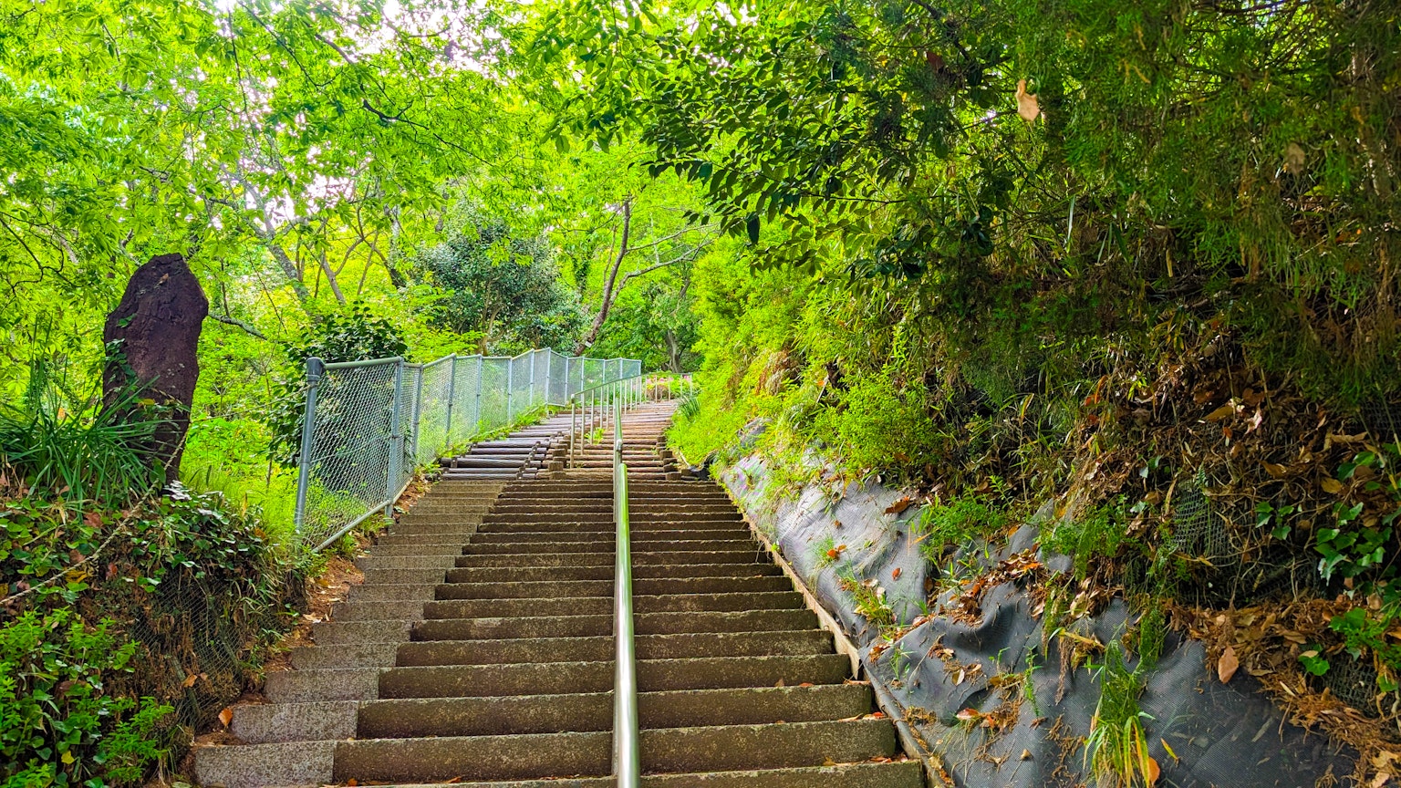 Staircase surrounded by lush greenery