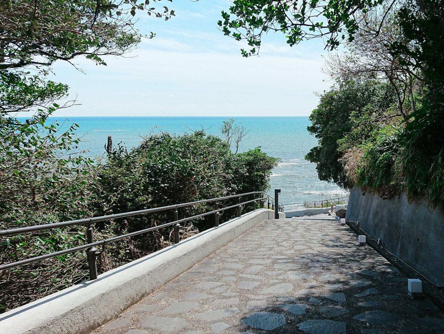 Sentiero che porta all'oceano con vegetazione lussureggiante e cielo blu