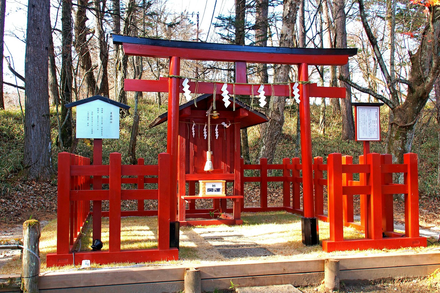 被寧靜森林環繞的紅色鳥居和神社
