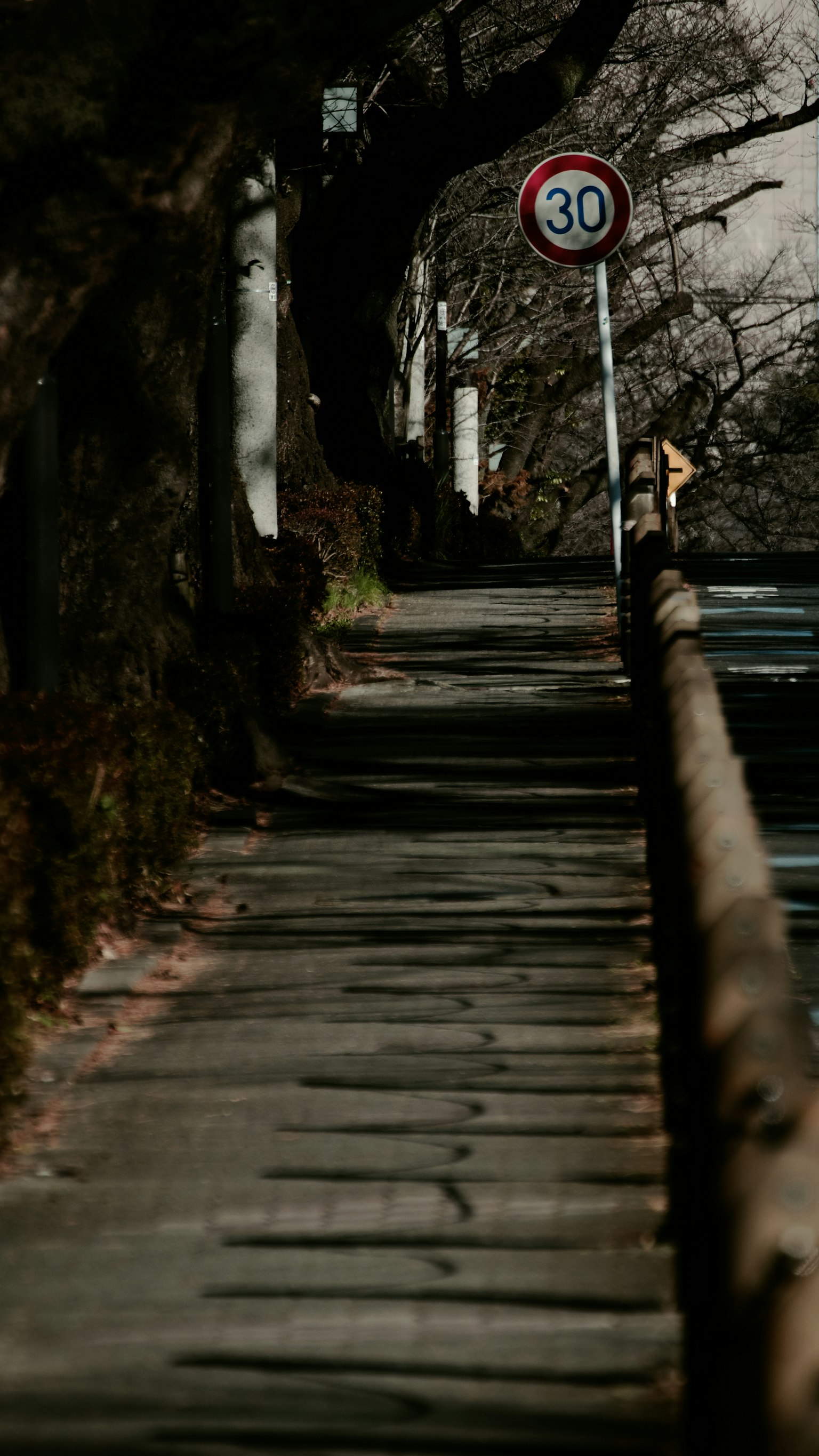 Quiet sidewalk lined with trees featuring a 30 km/h speed limit sign