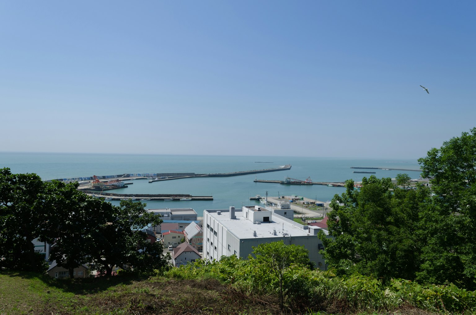 海港的風景白色建築和晴朗的藍天