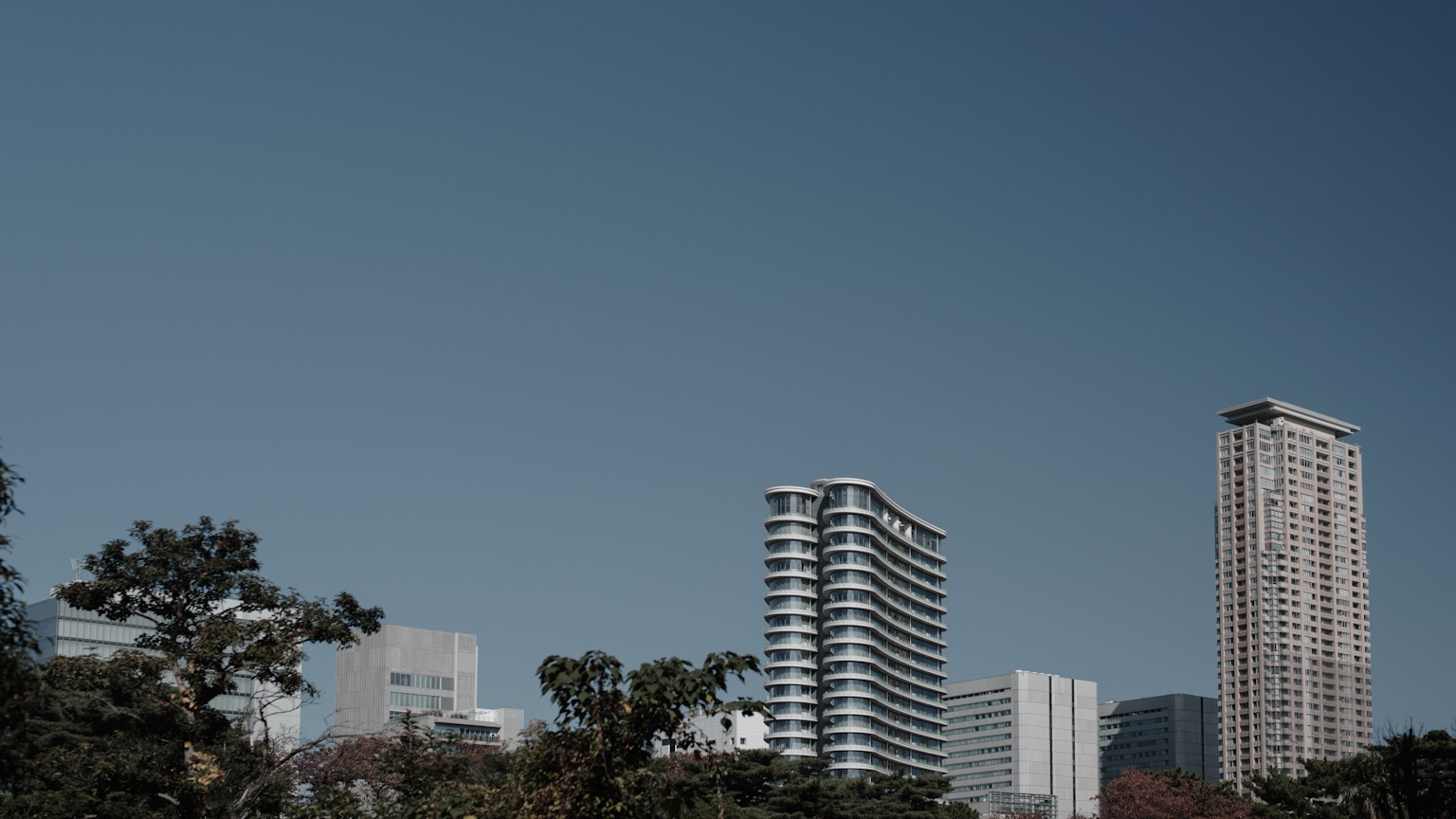 Paisaje urbano con rascacielos y vegetación bajo un cielo azul