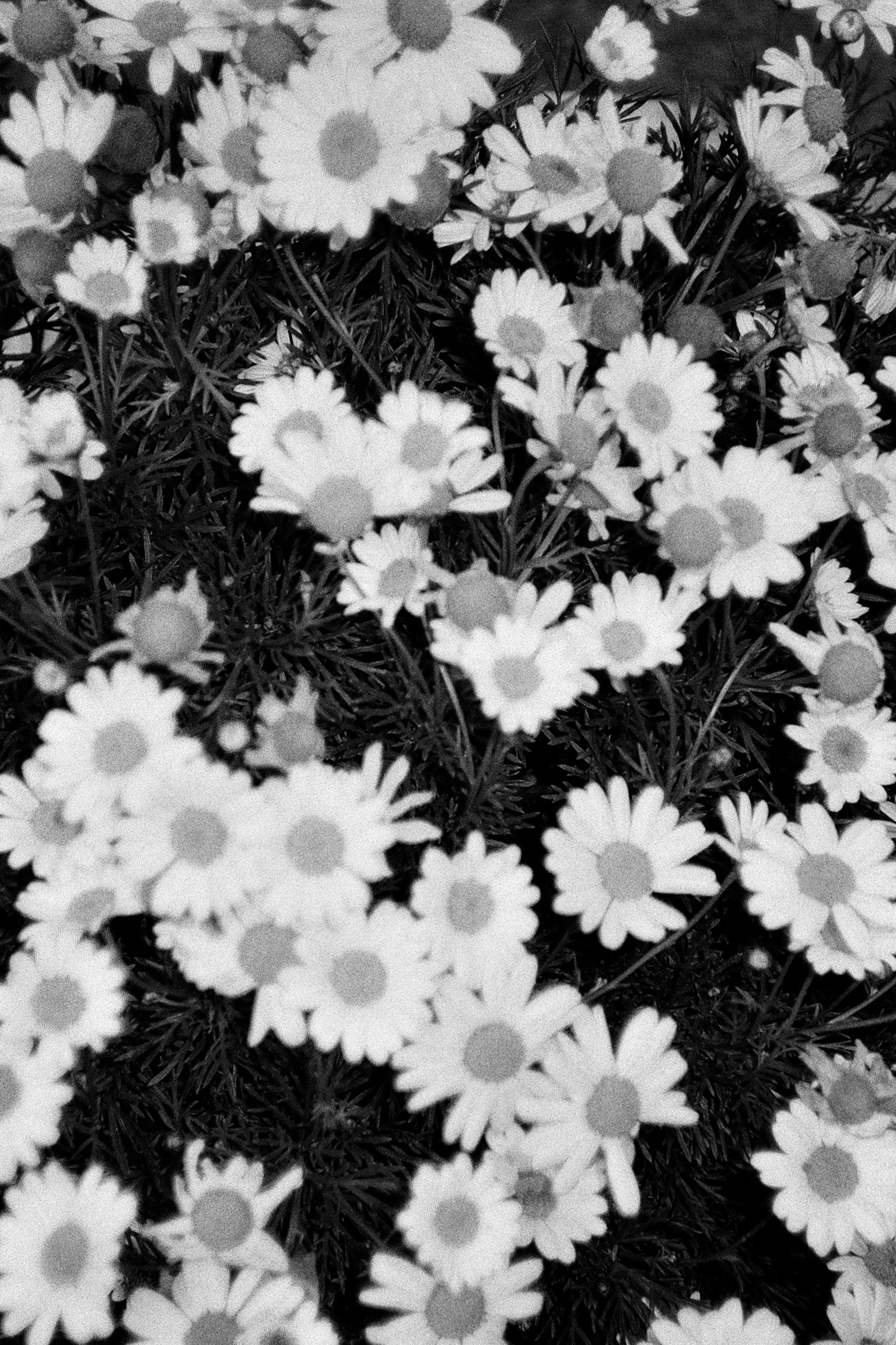 photo-nzdnrPoYiUiNGc0ohYKt-image