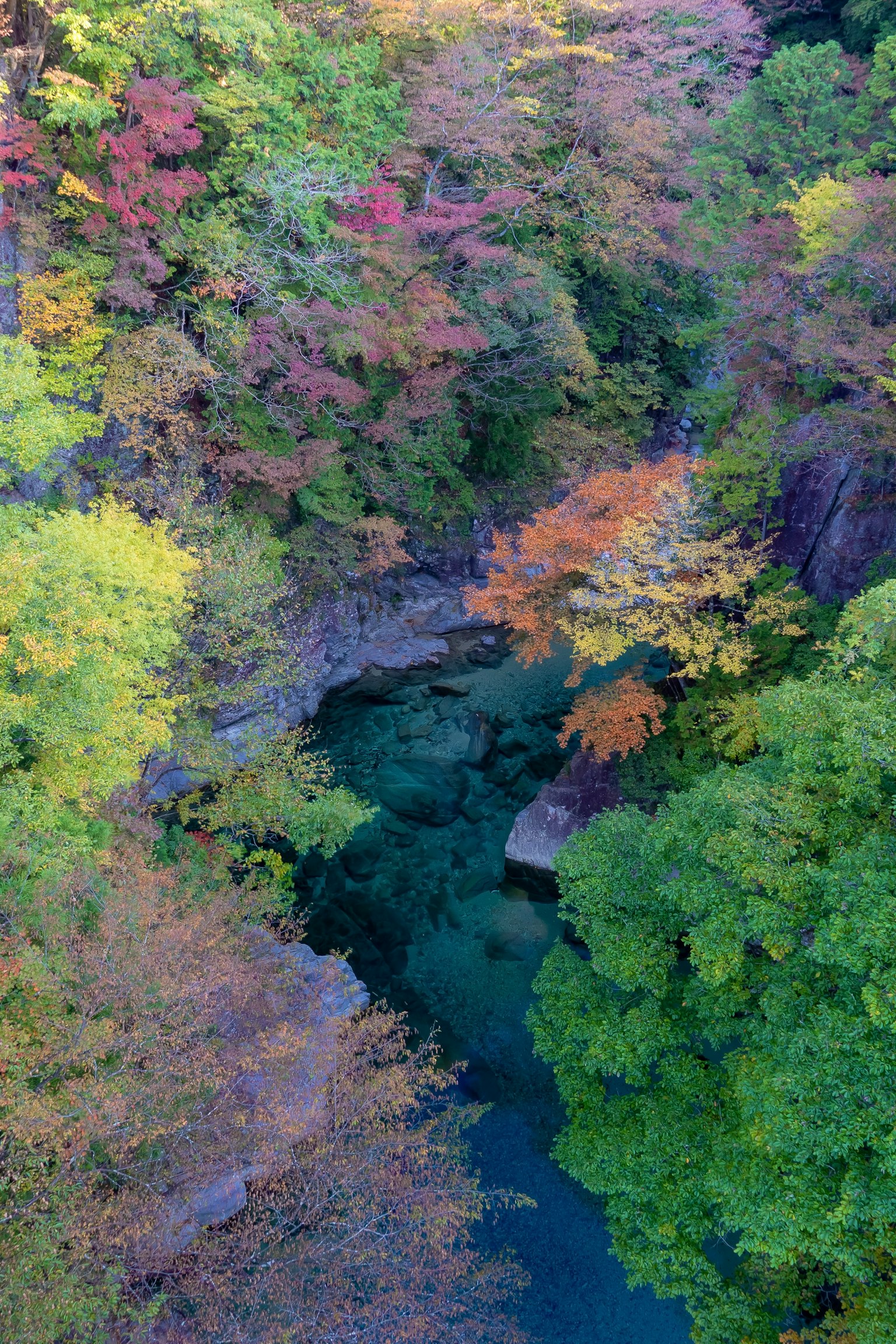 Vista aerea di un fiume tranquillo circondato da foglie autunnali colorate