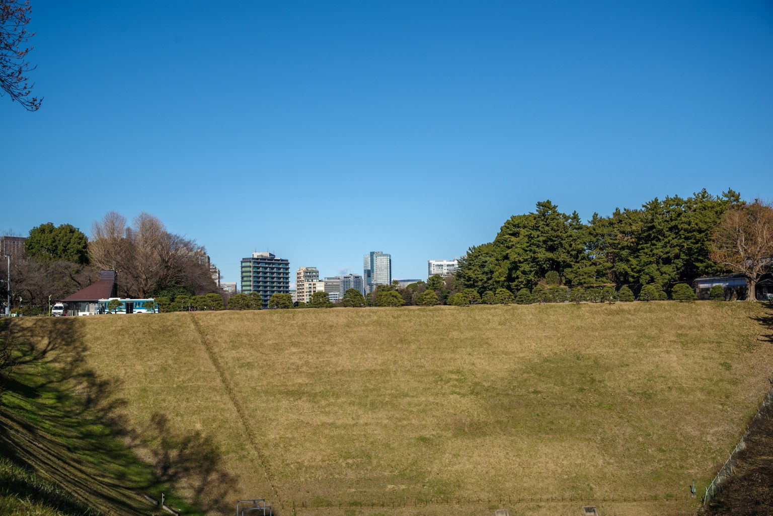 Green lawn under a clear blue sky with city skyline