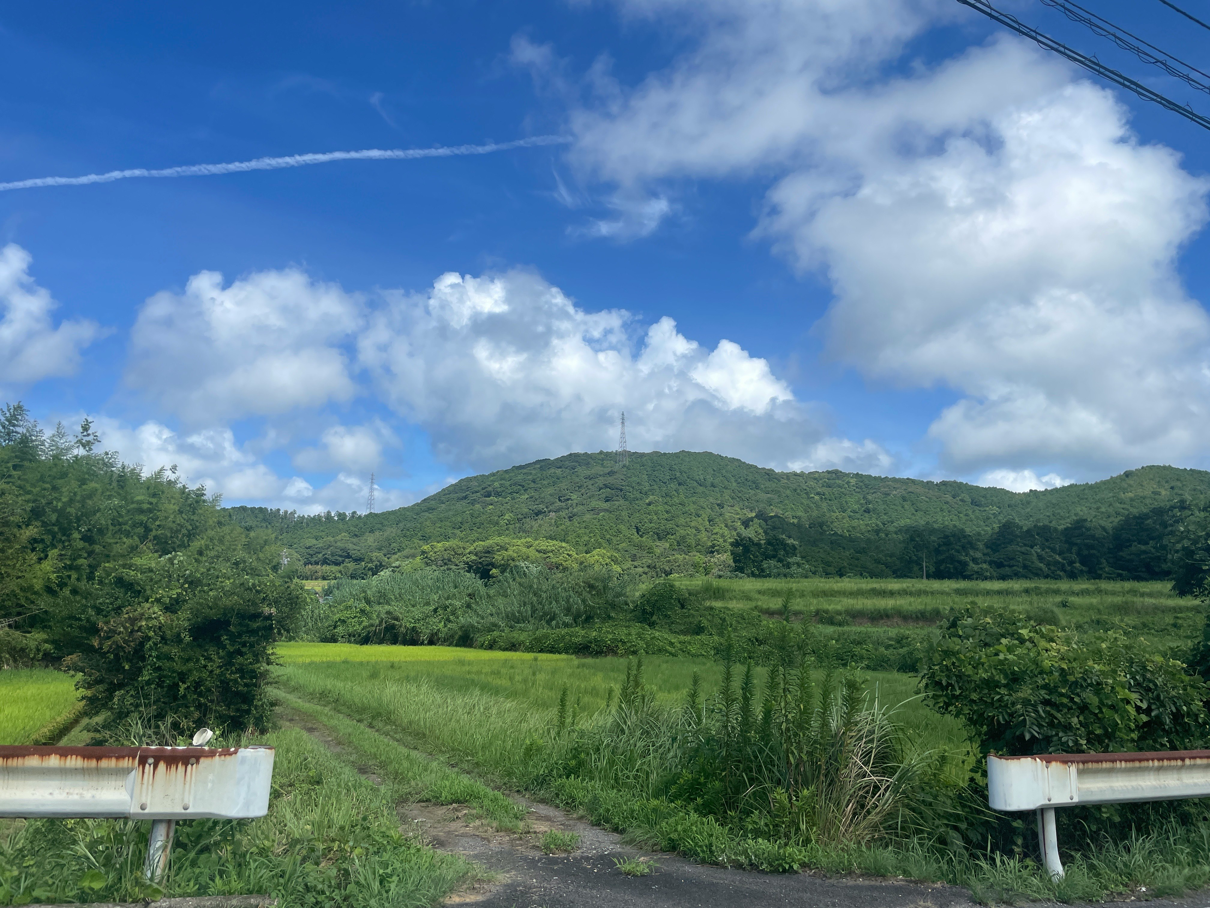 緑の田園と山並みを見渡す風景
