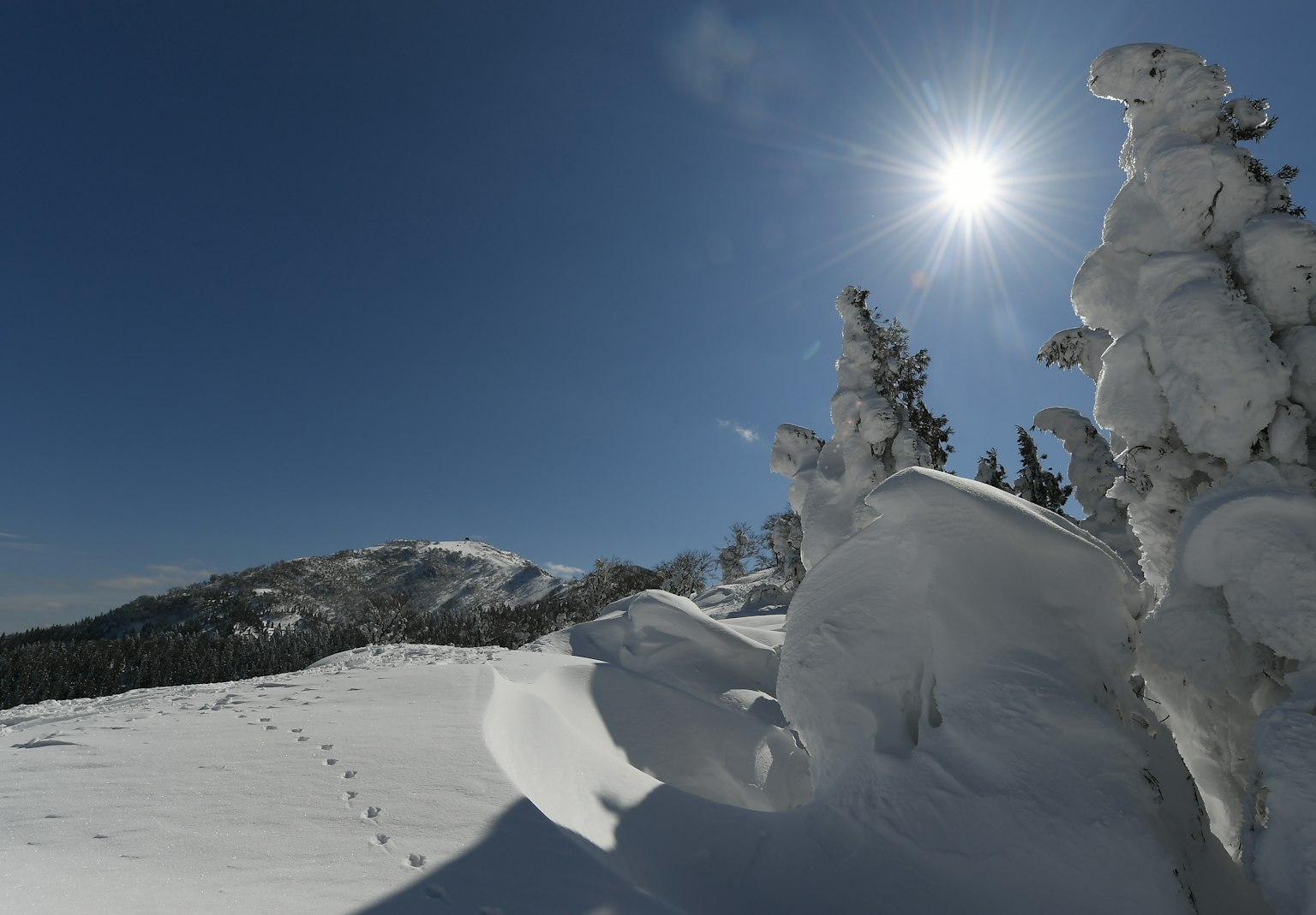 Schneebedeckte Landschaft mit Sonnenlicht