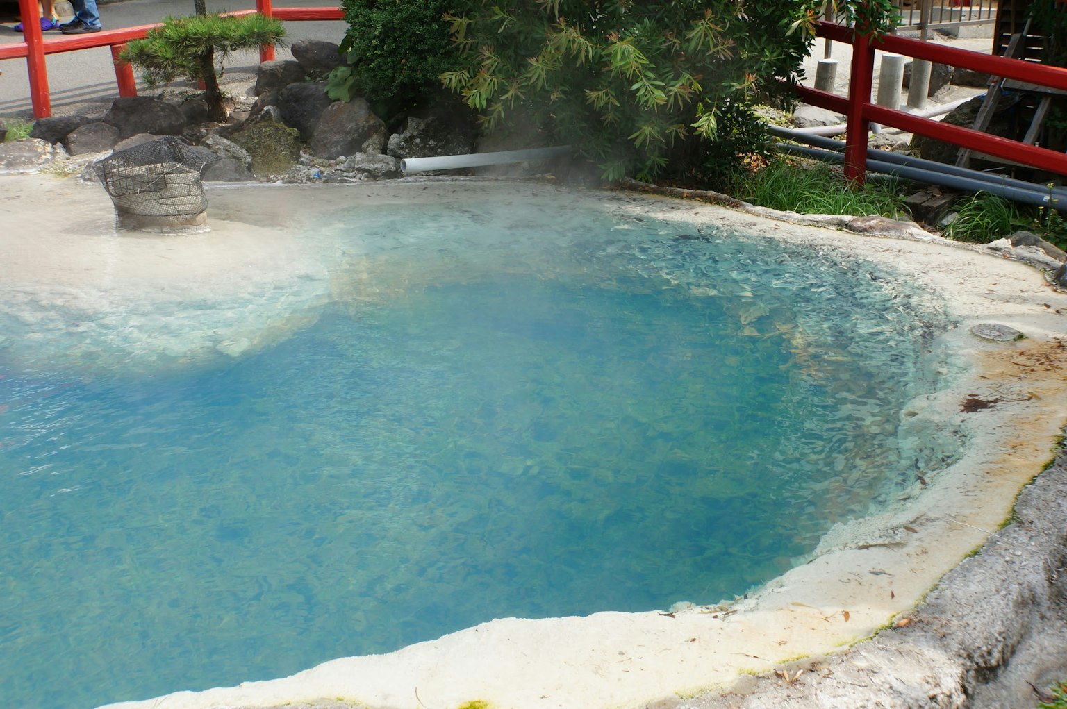 Acqua termale blu circondata da vegetazione e rocce