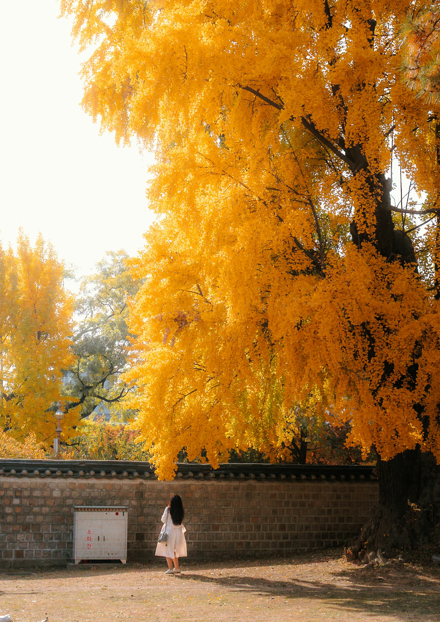 photo-o0qmTp0SEA9lW26fHQUP-image