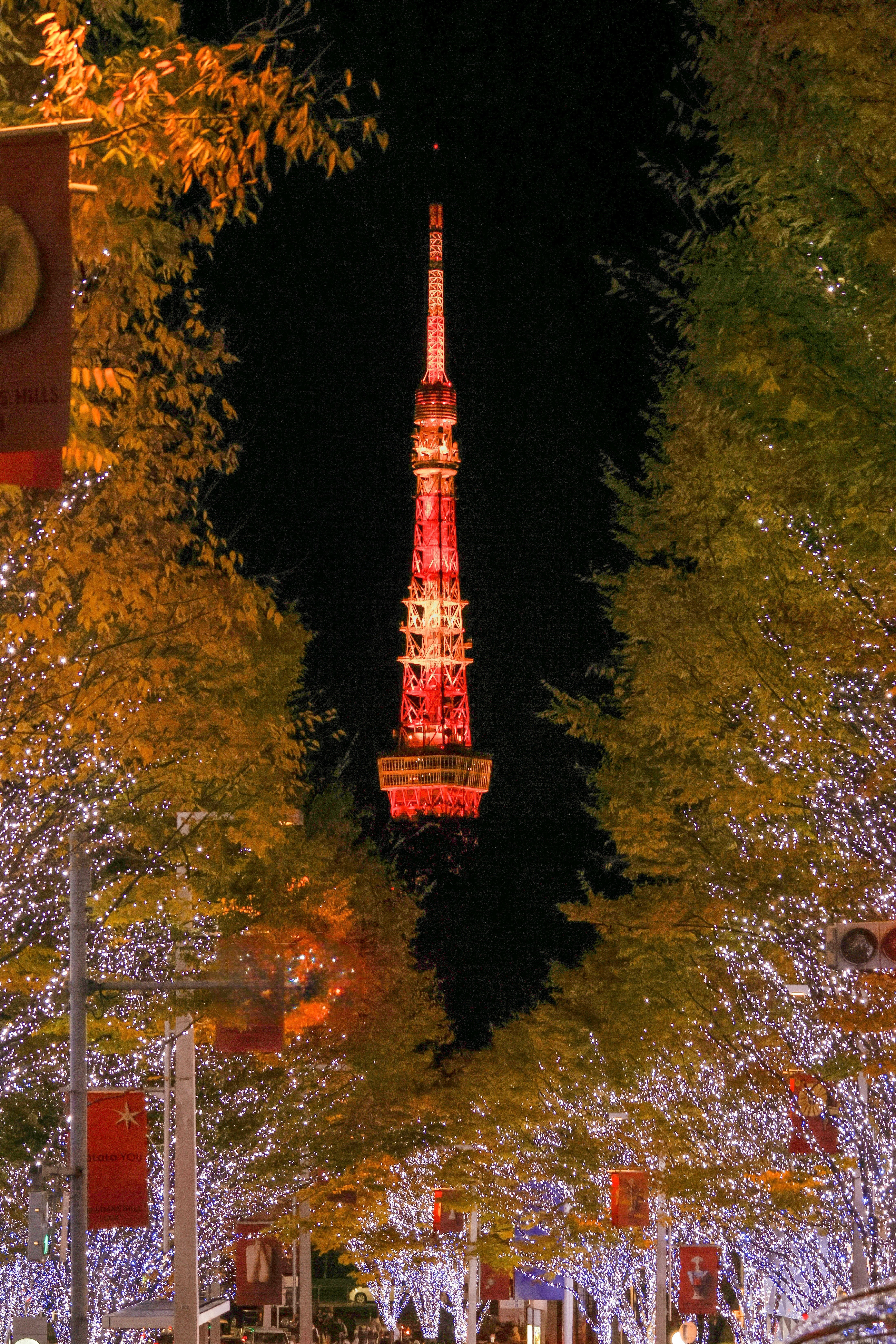 冬季燈光裝飾與東京塔夜景